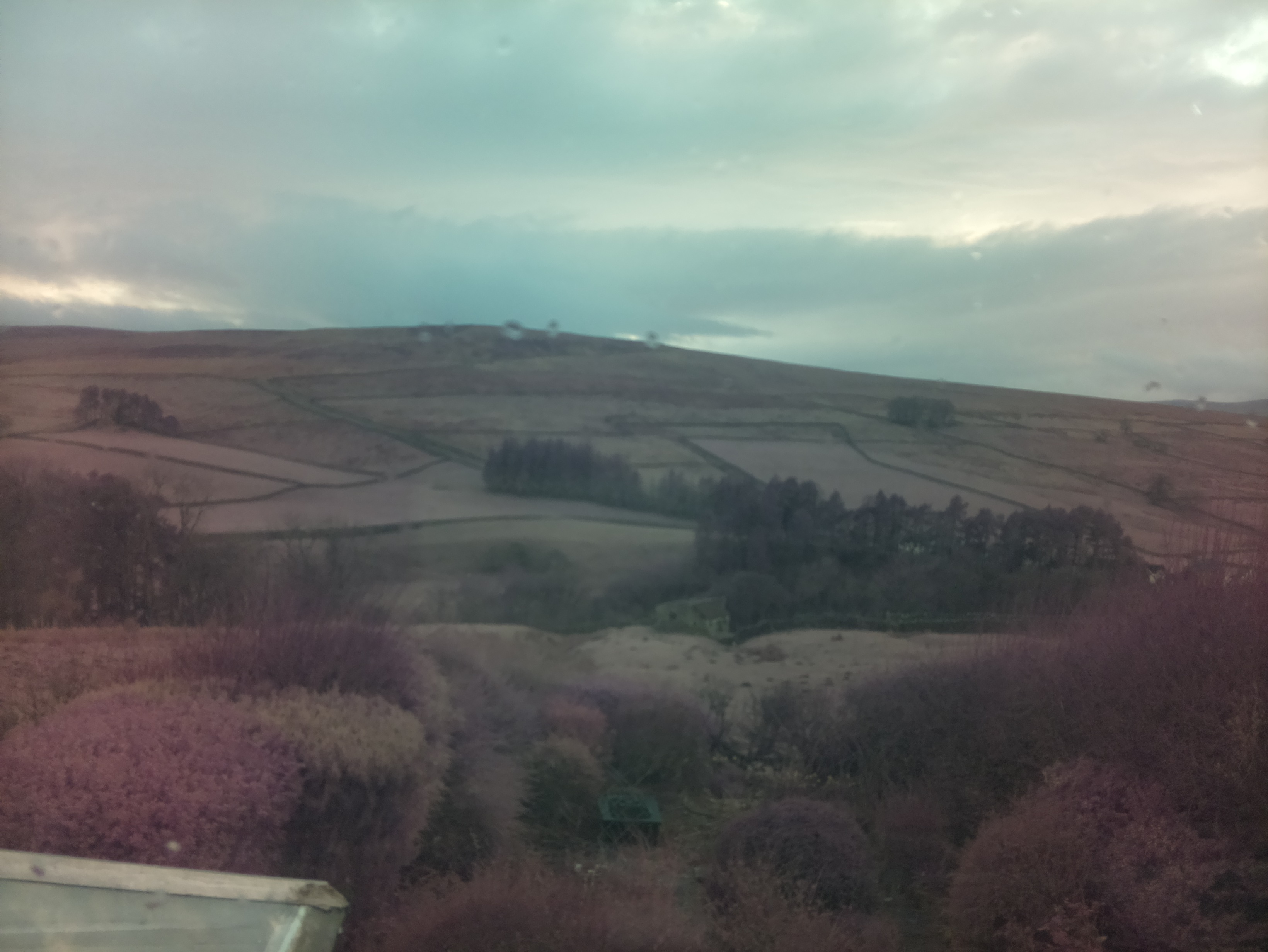 raspi webcam photo
