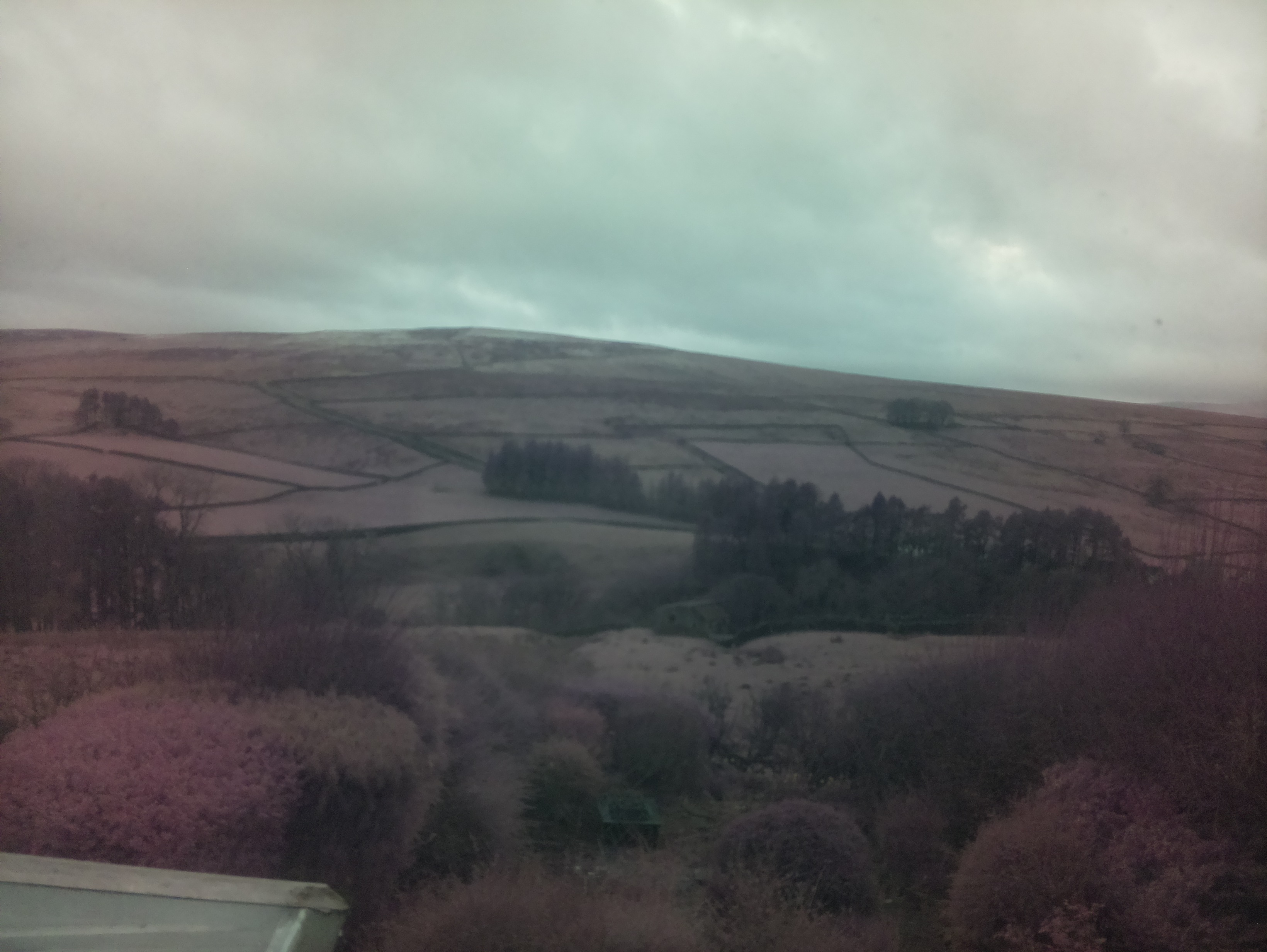raspi webcam photo