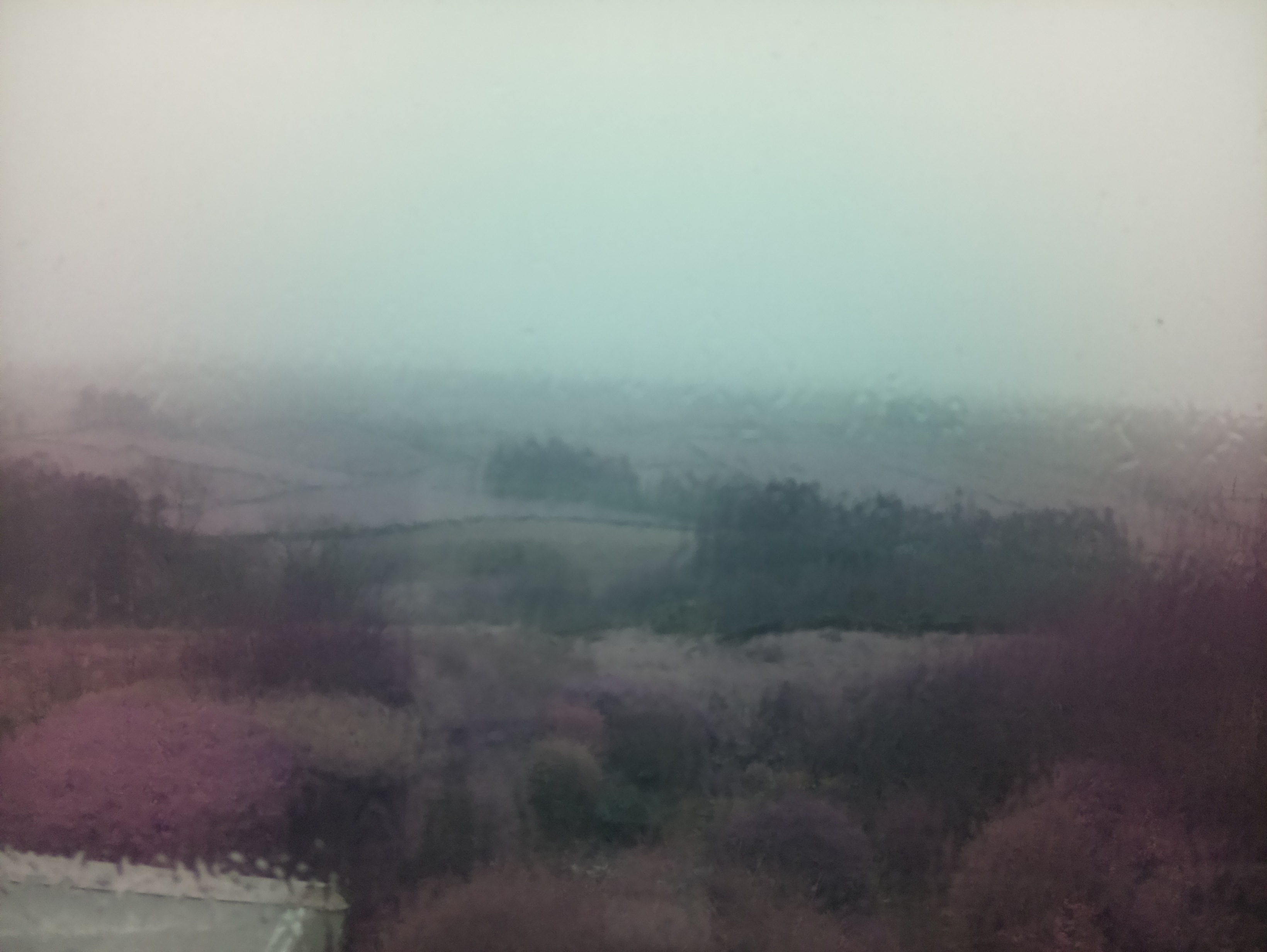 raspi webcam photo