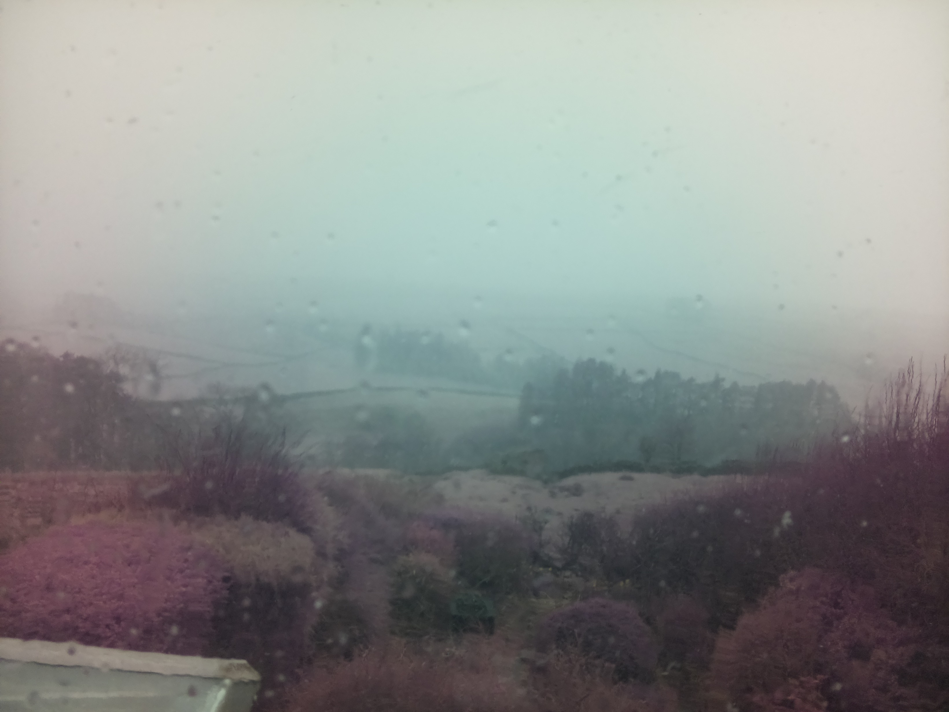 raspi webcam photo