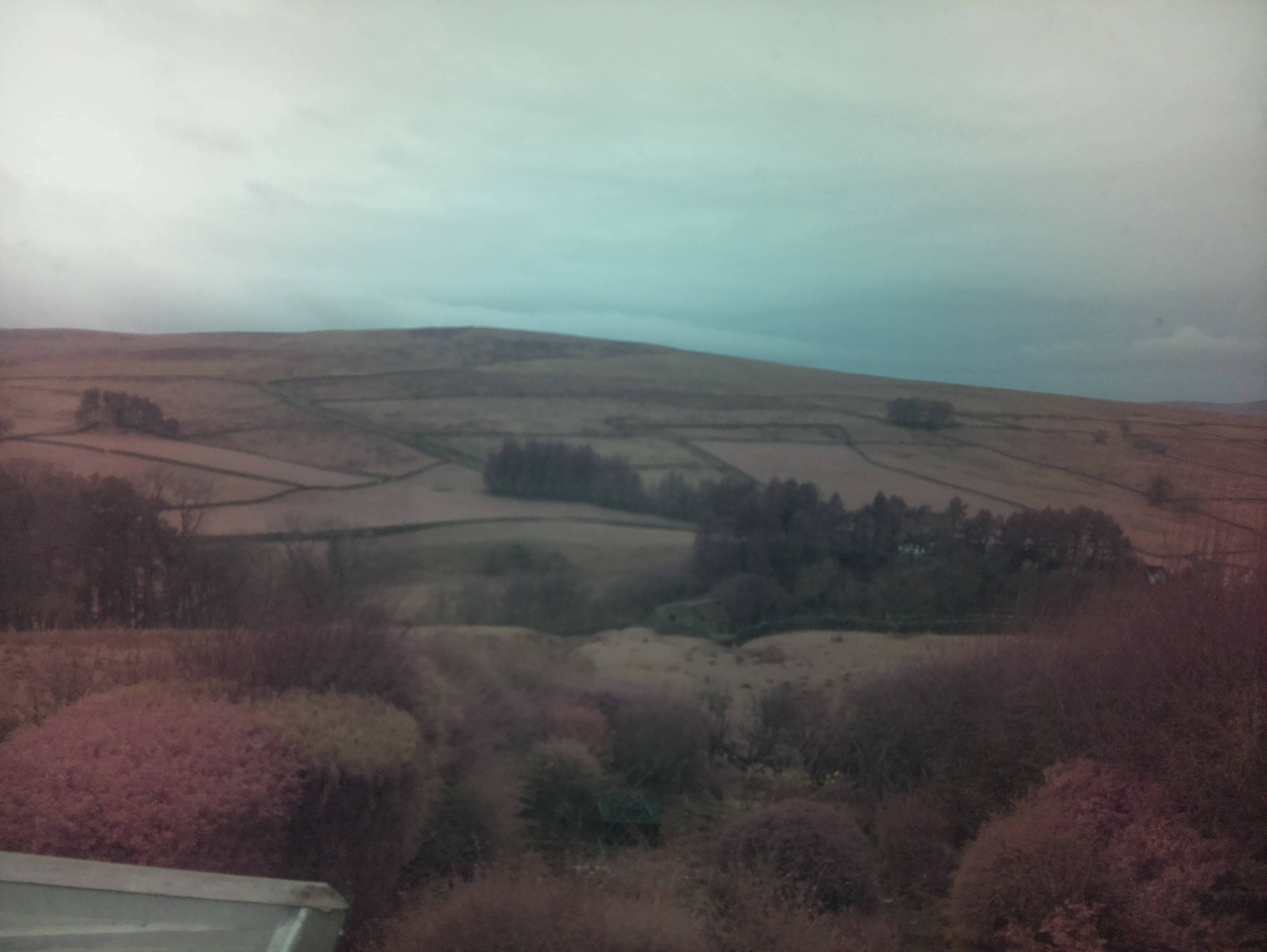 raspi webcam photo