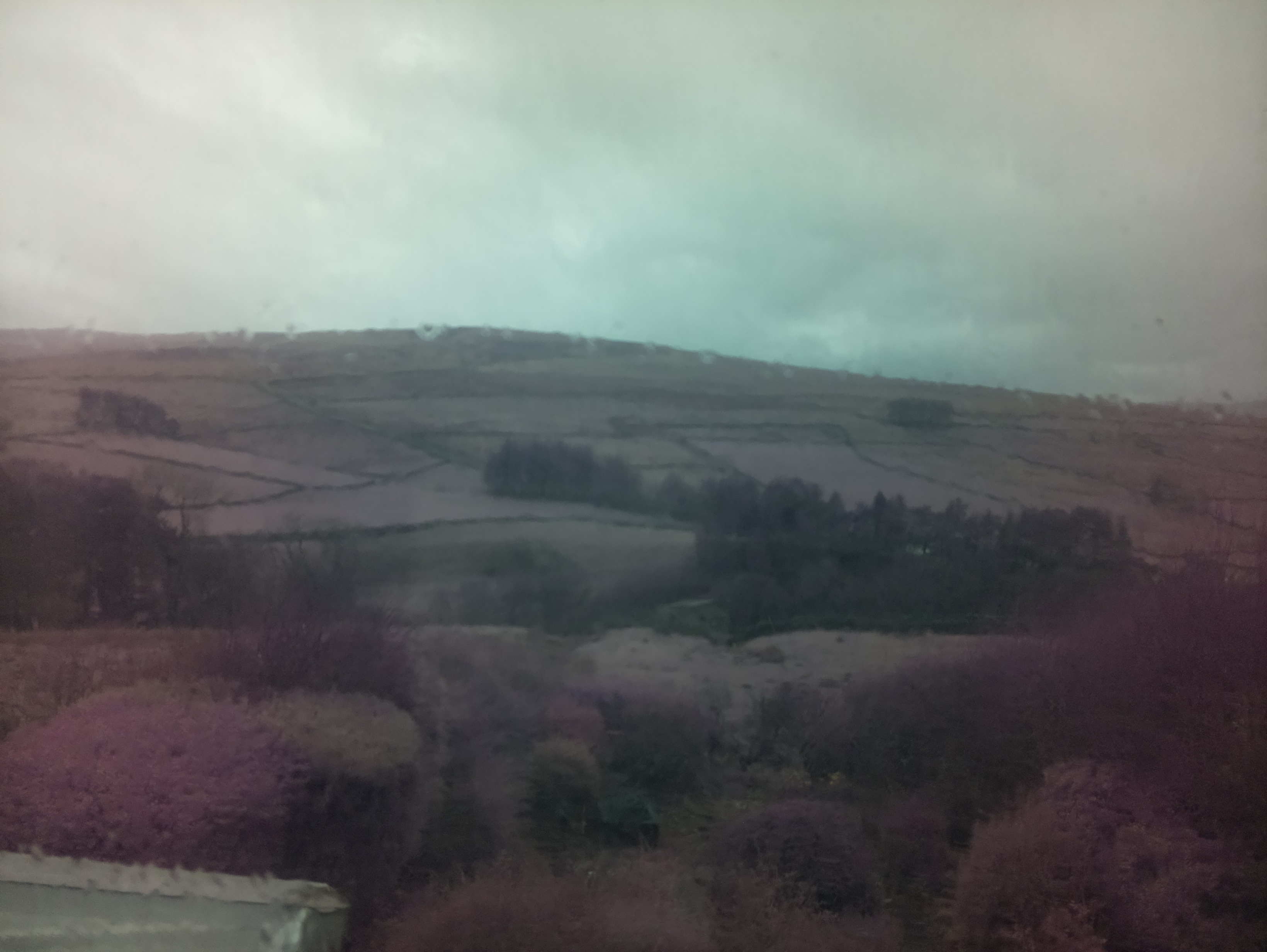 raspi webcam photo