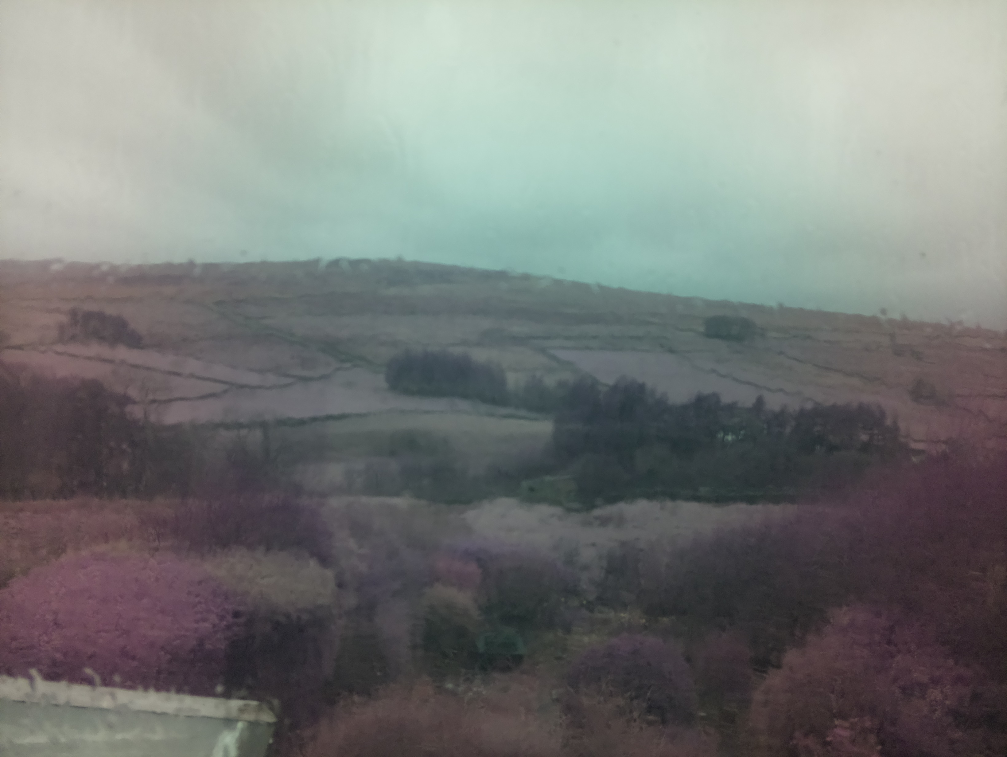 raspi webcam photo