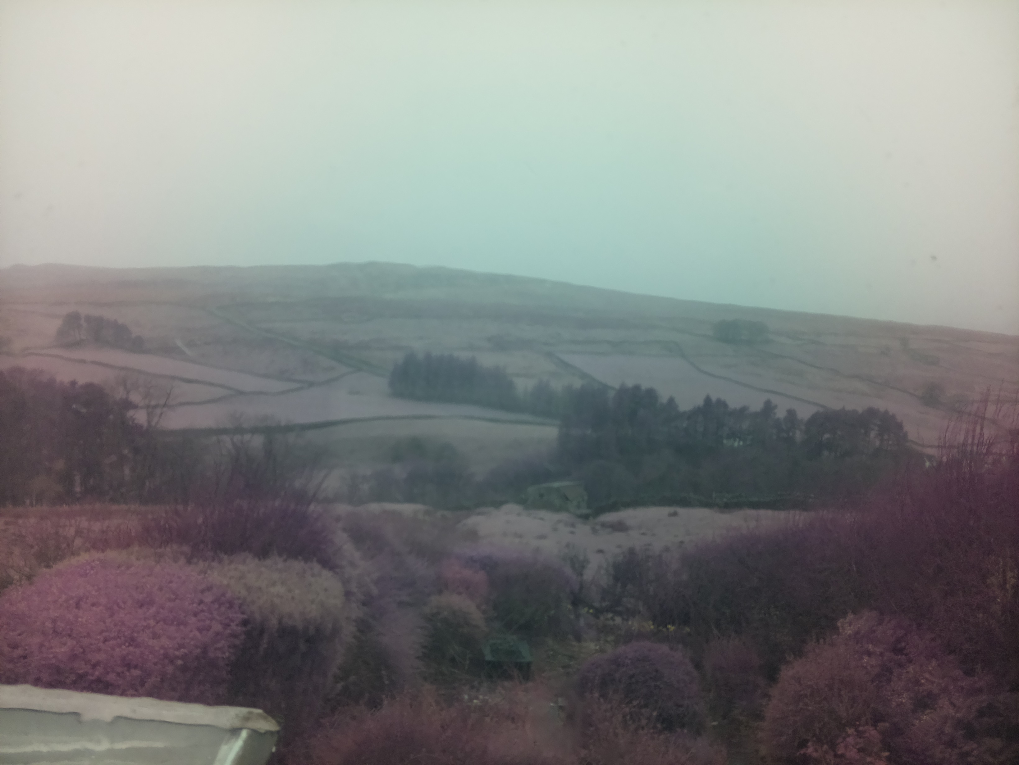 raspi webcam photo