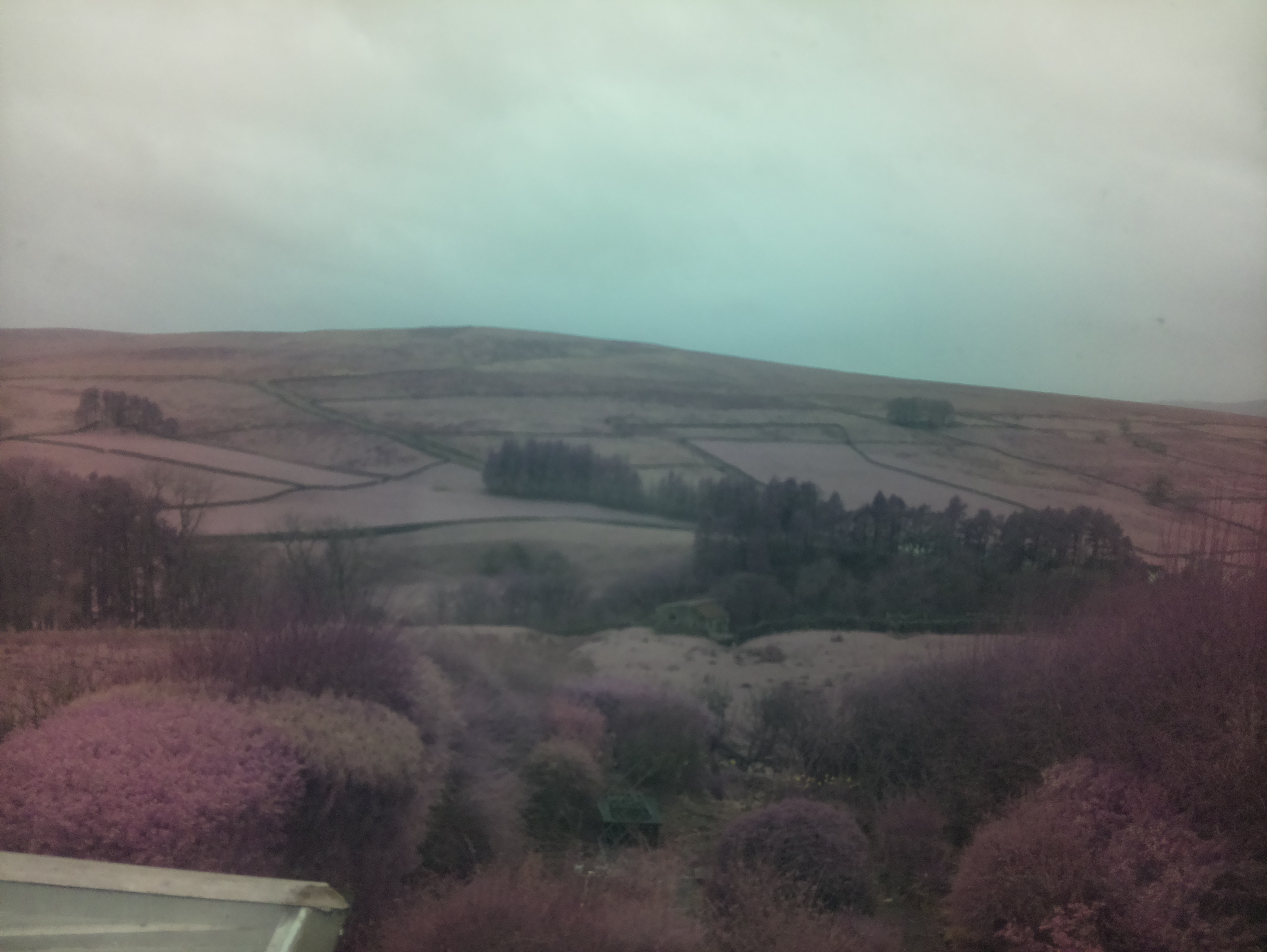raspi webcam photo