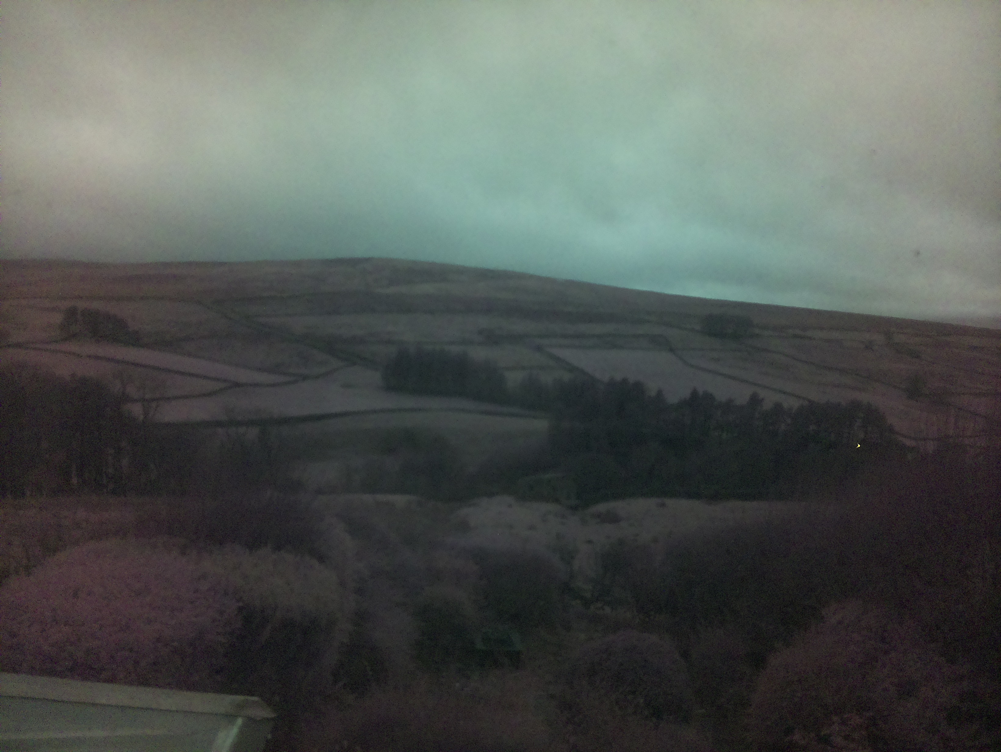 raspi webcam photo