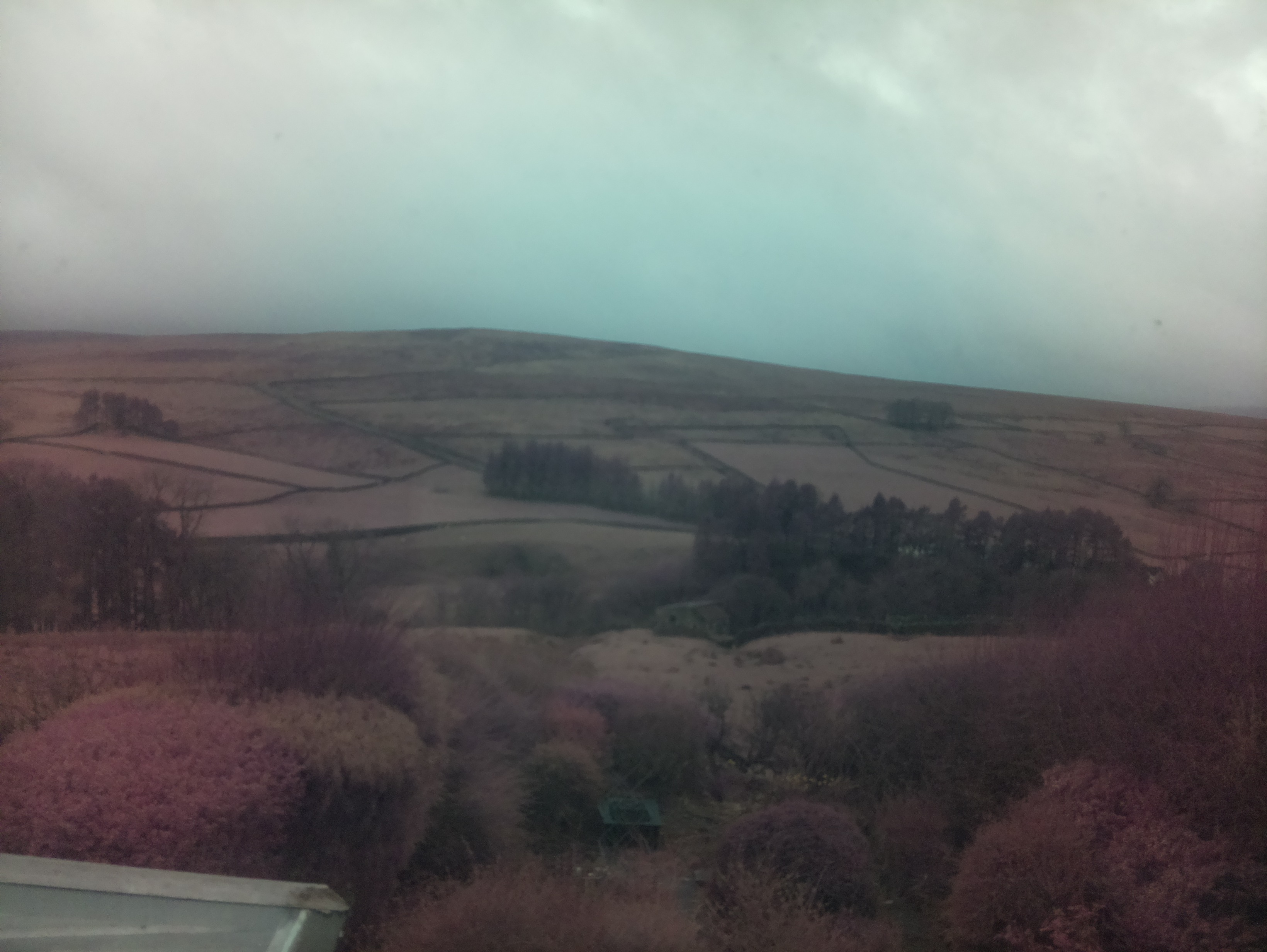 raspi webcam photo