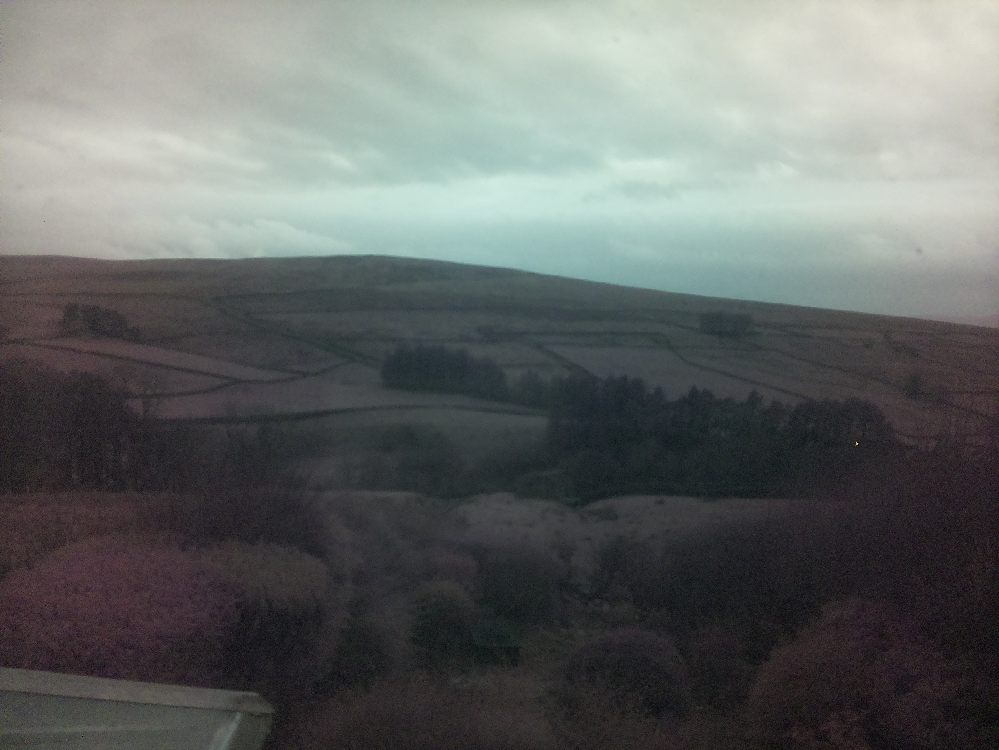 raspi webcam photo