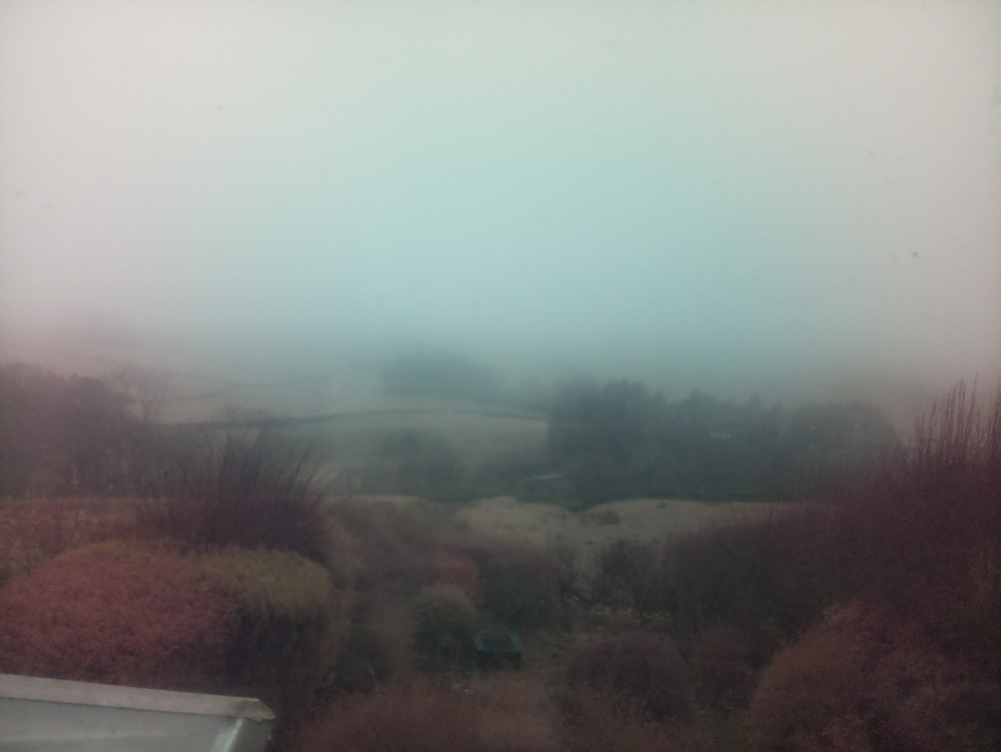 raspi webcam photo