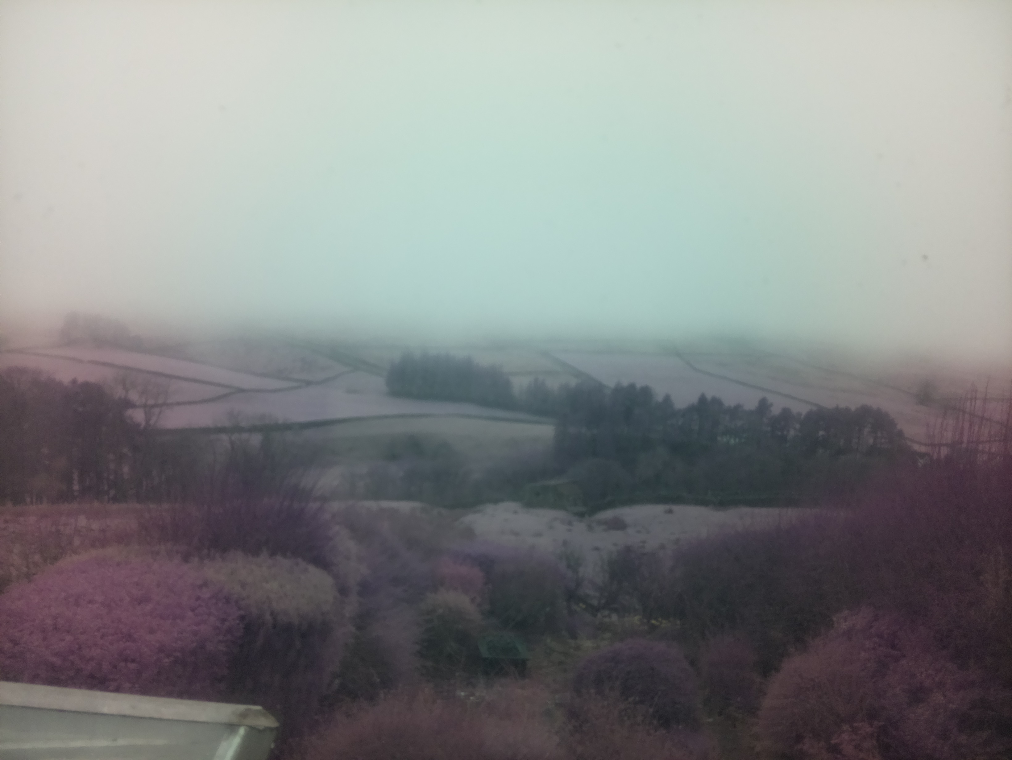 raspi webcam photo