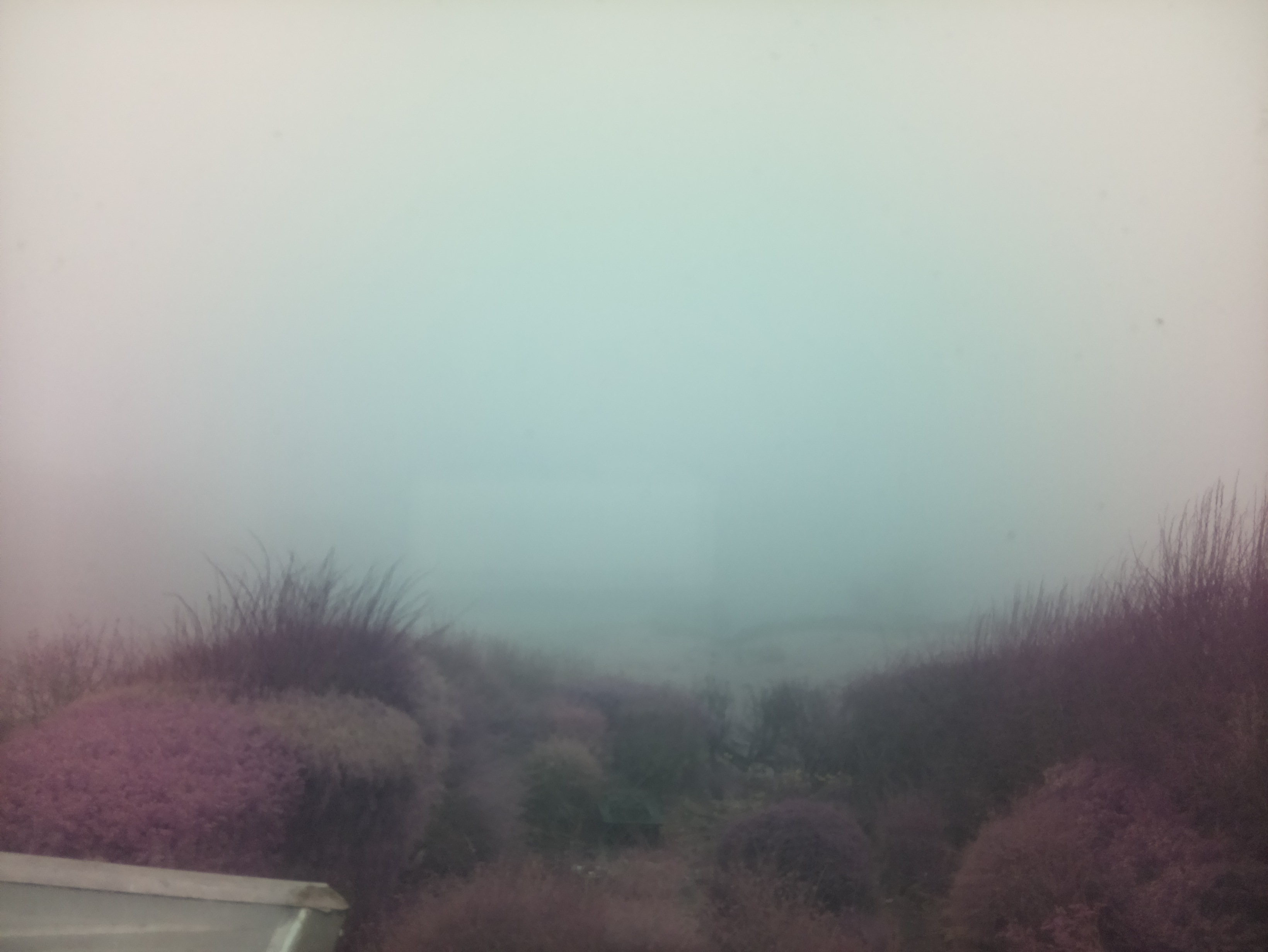 raspi webcam photo