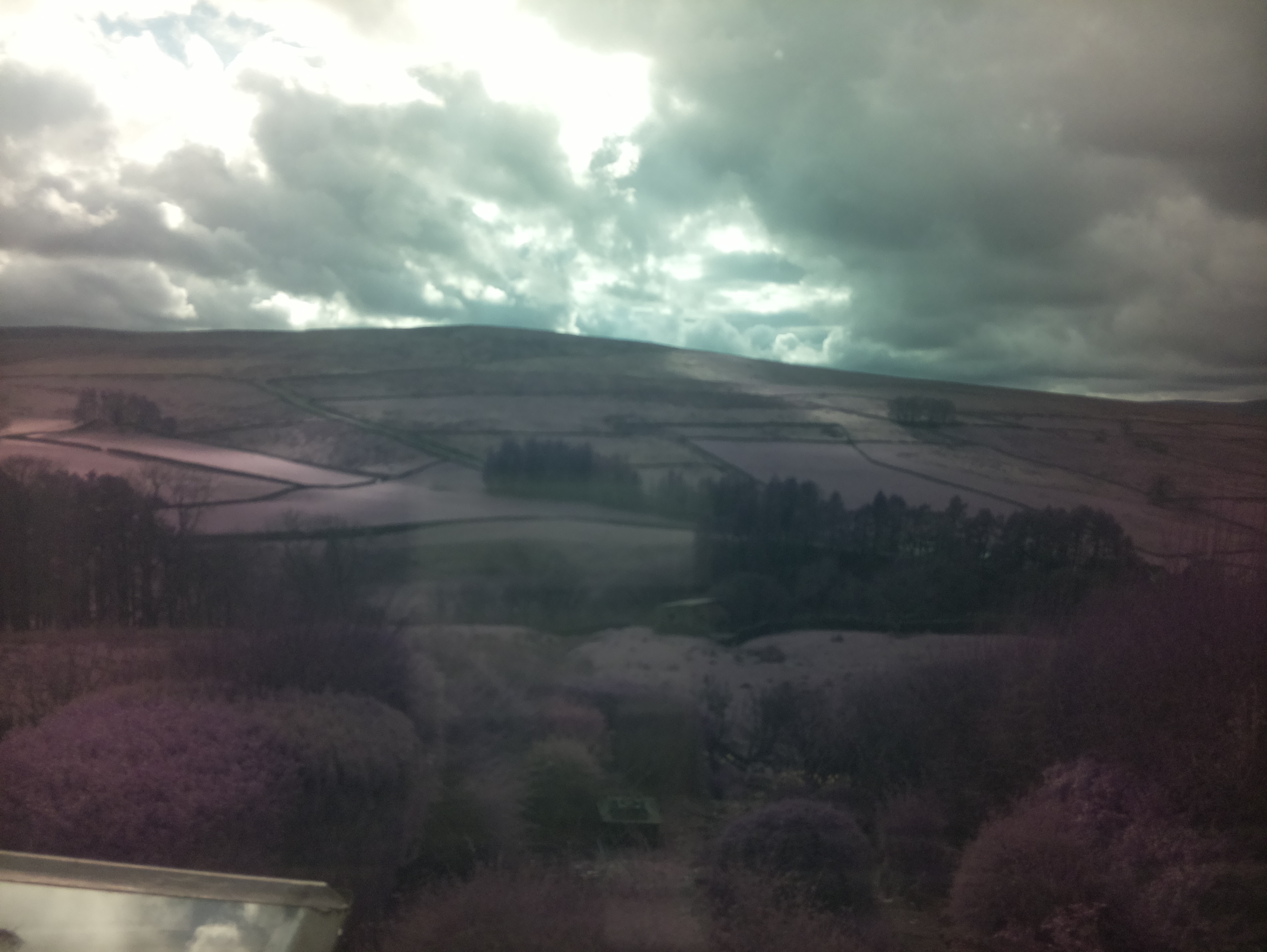 raspi webcam photo