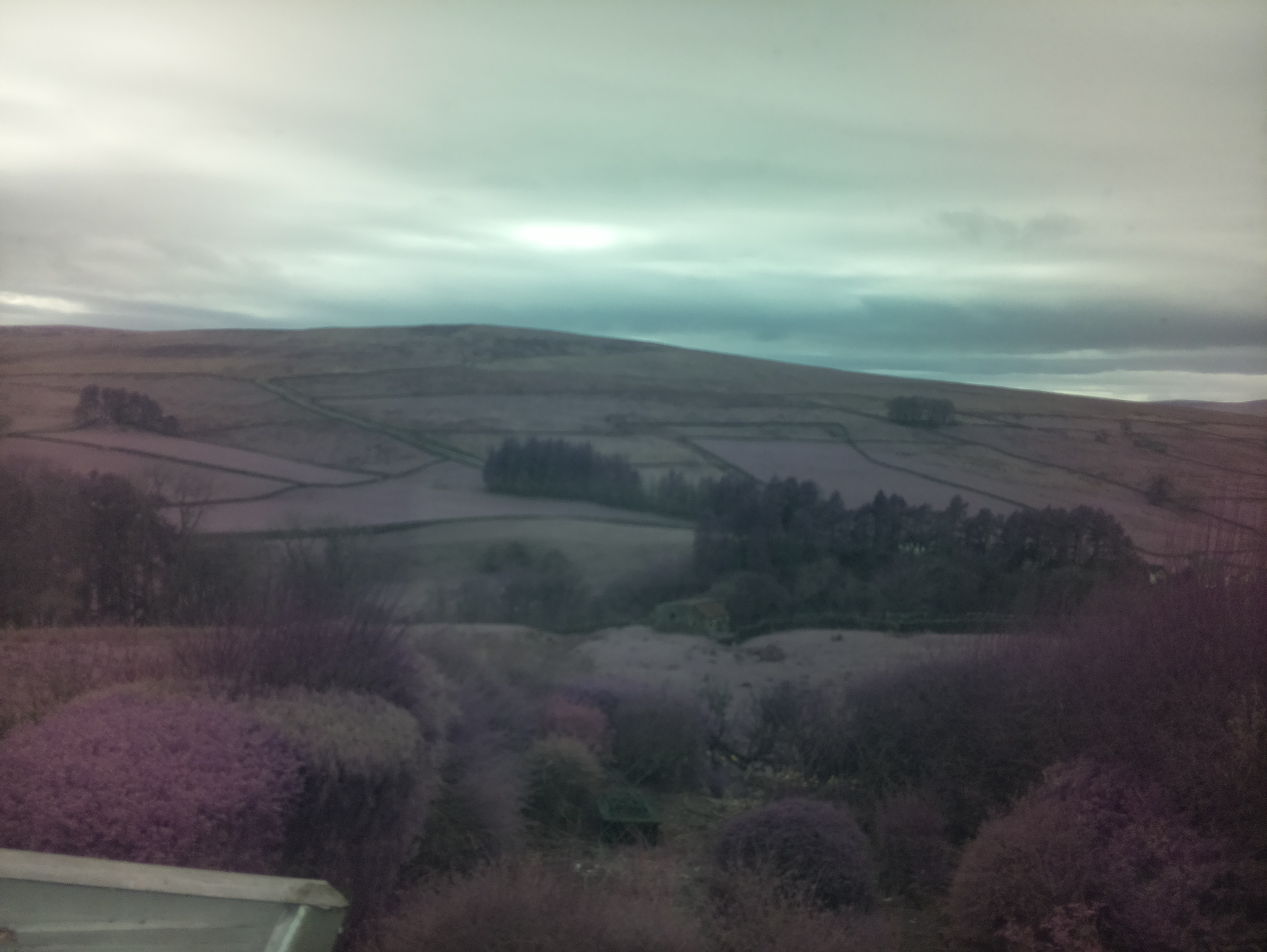raspi webcam photo