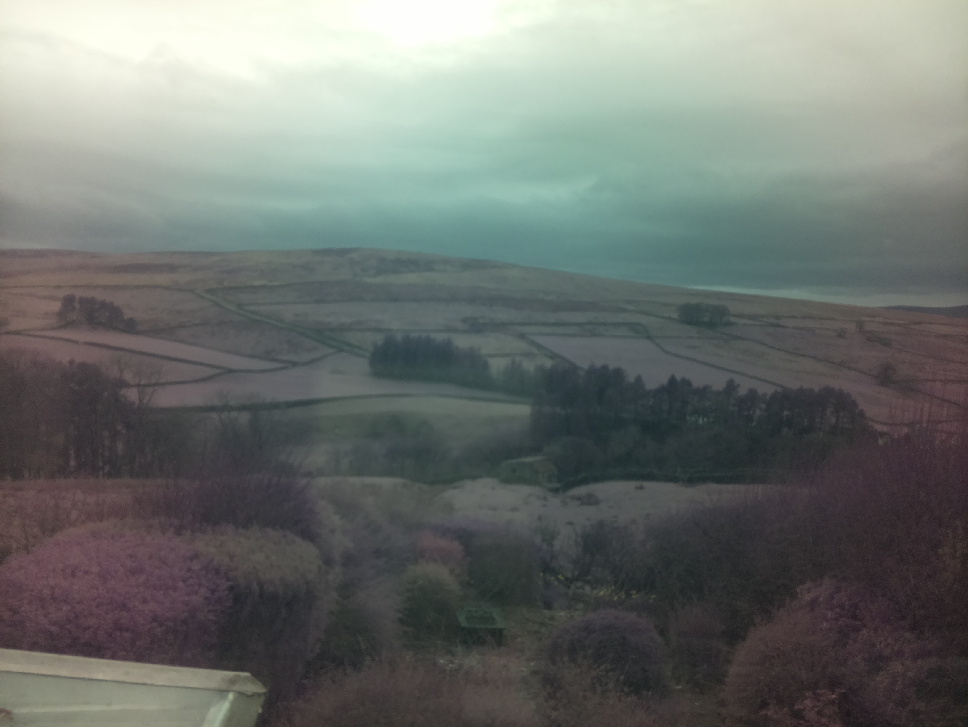raspi webcam photo