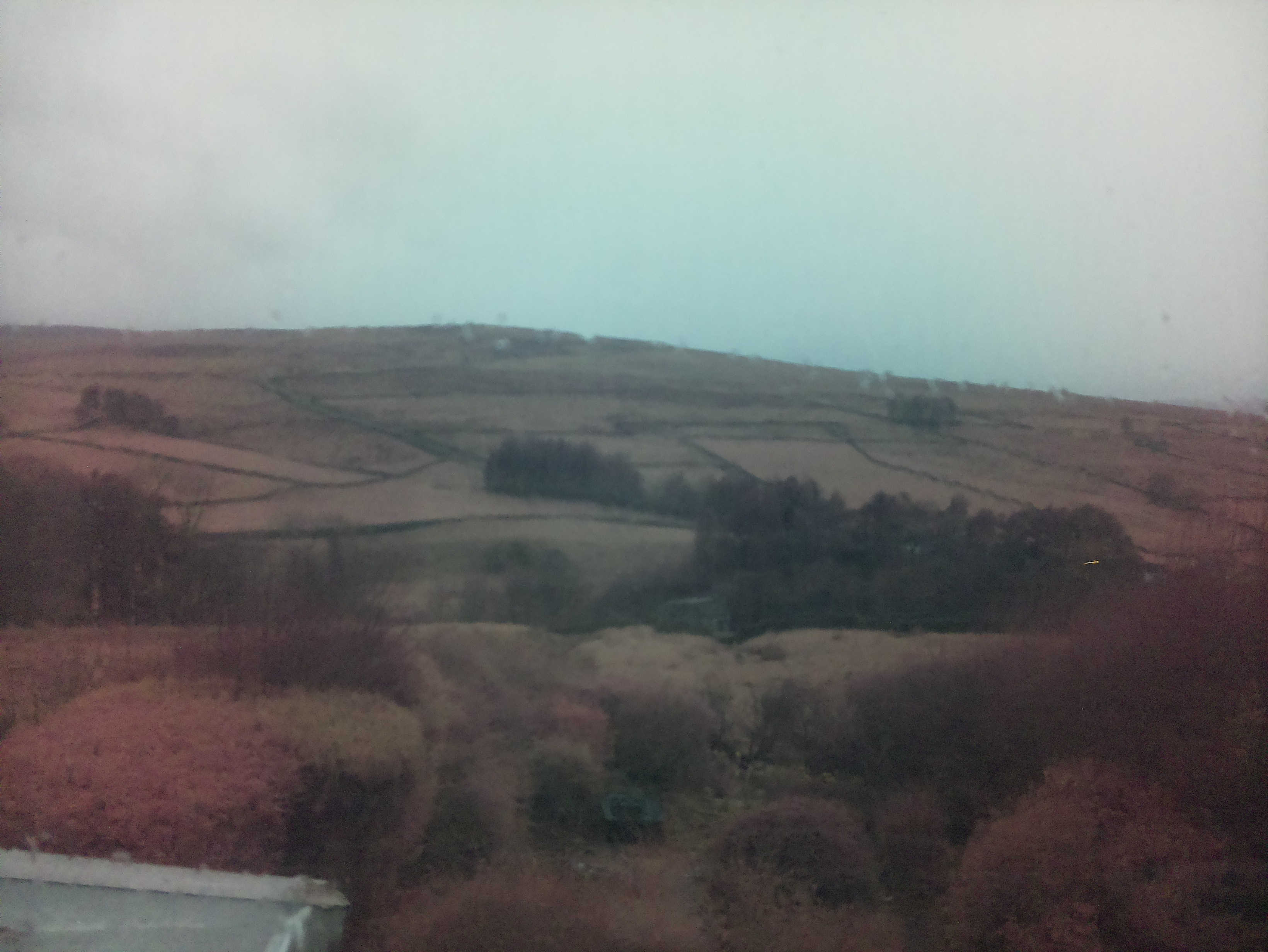 raspi webcam photo