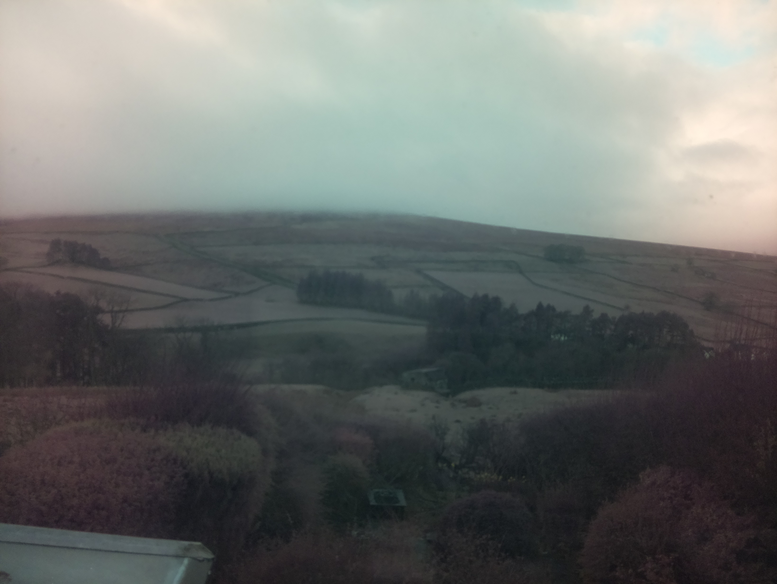 raspi webcam photo