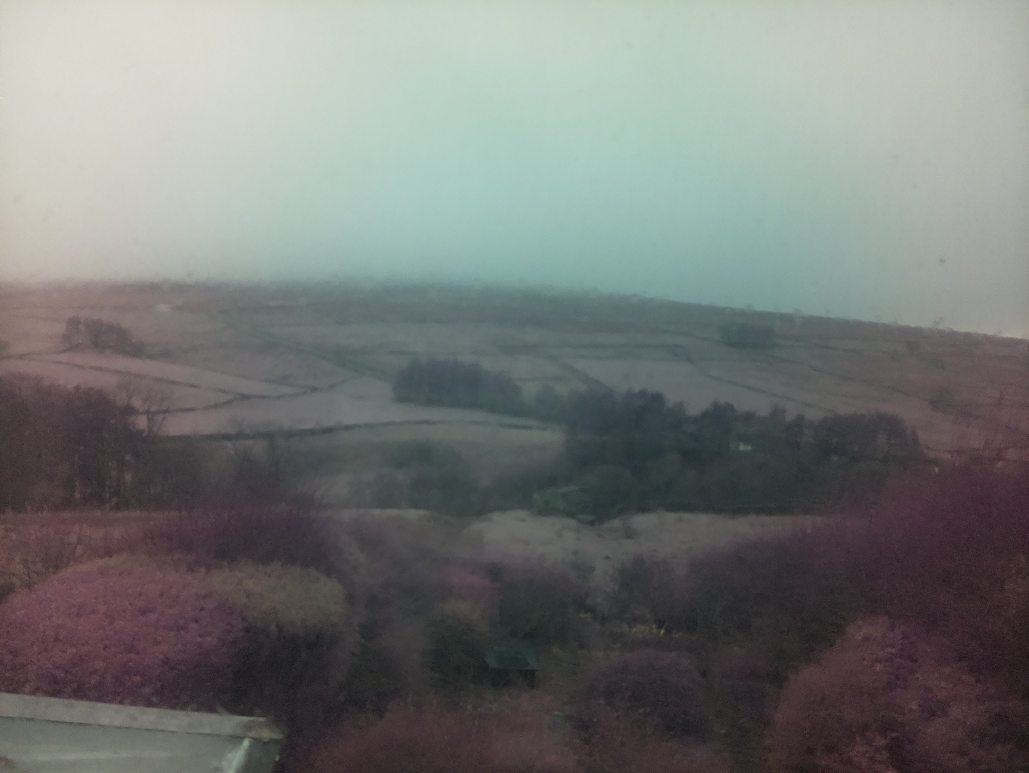 raspi webcam photo
