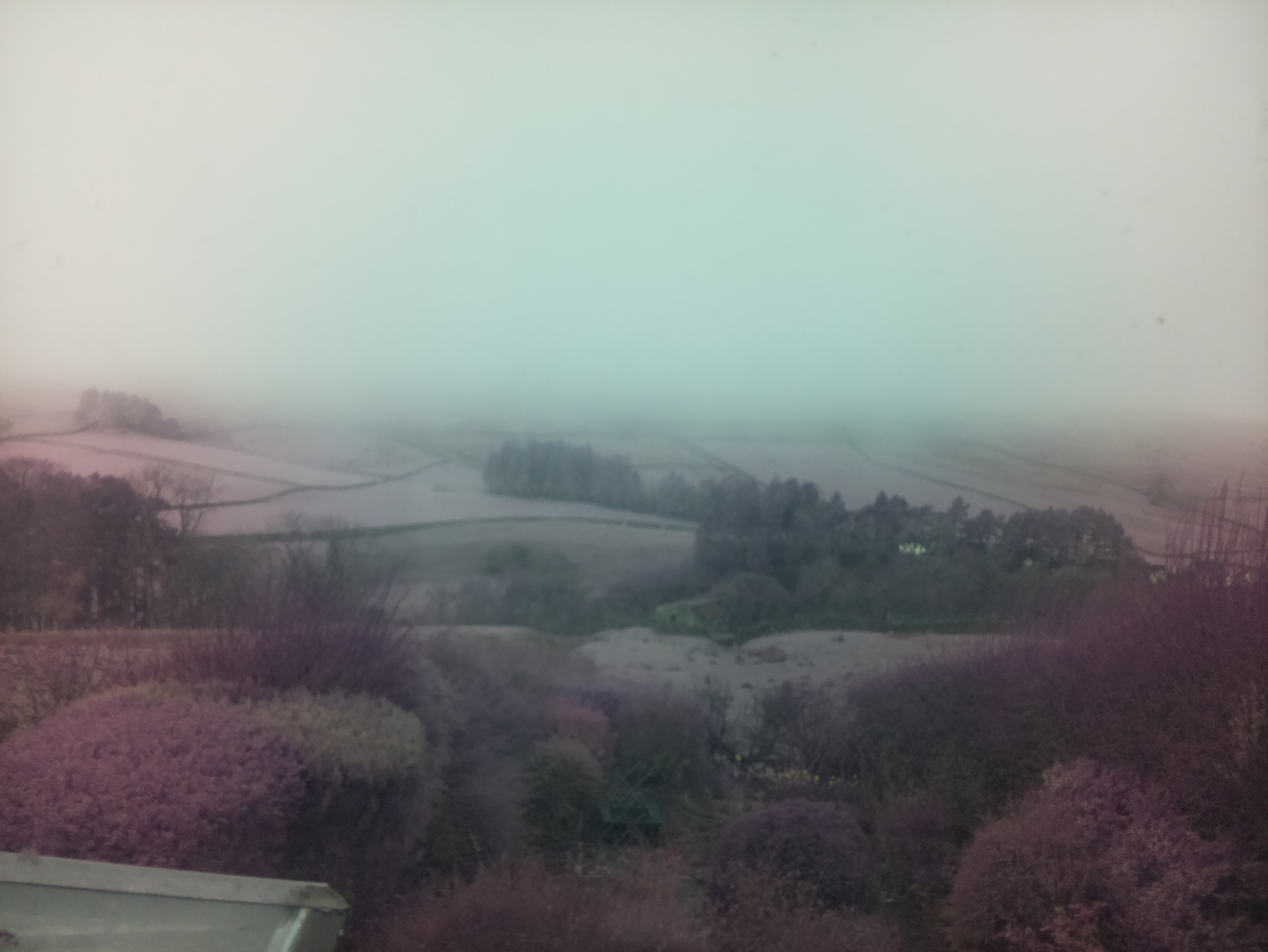 raspi webcam photo