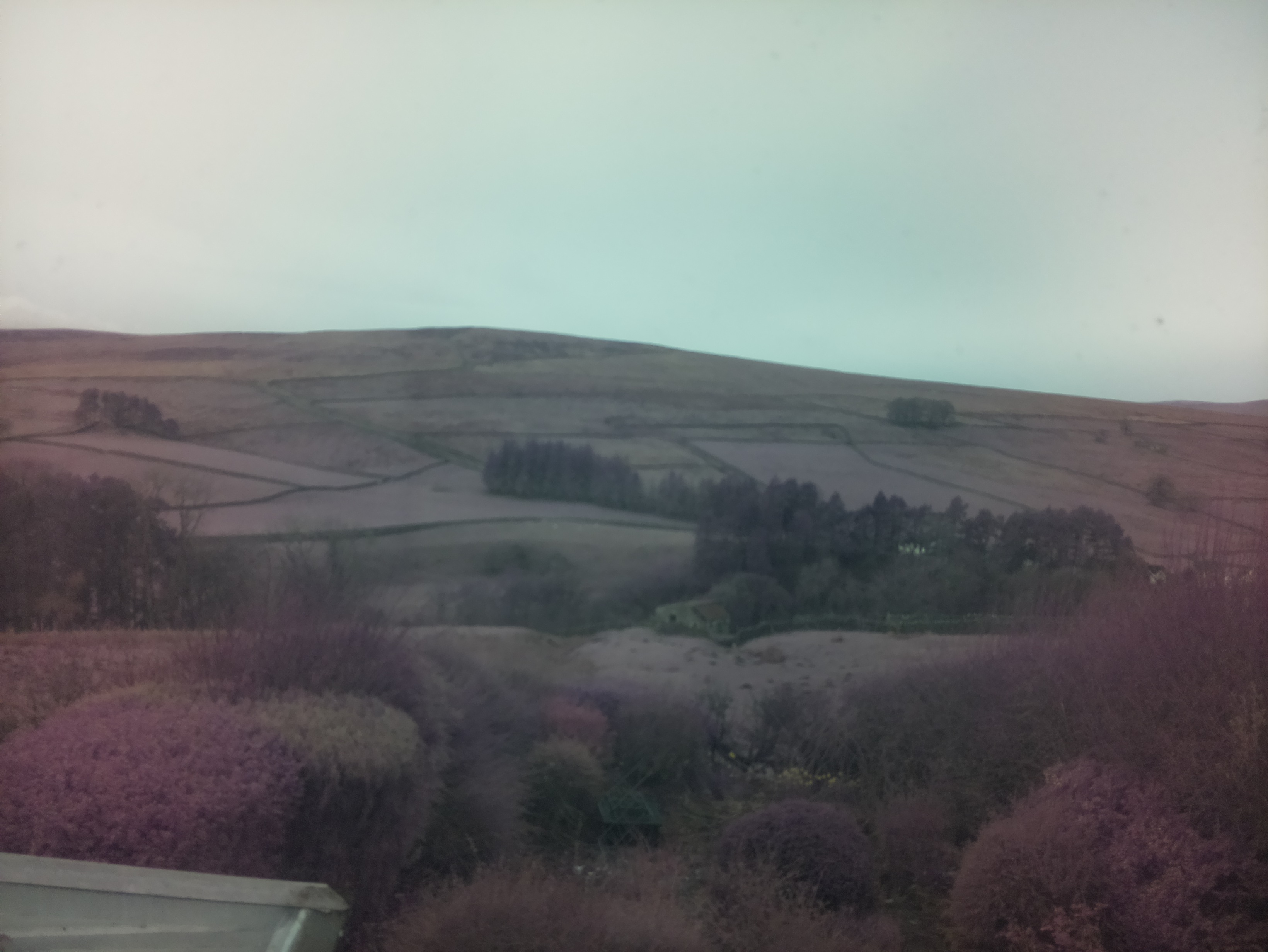 raspi webcam photo