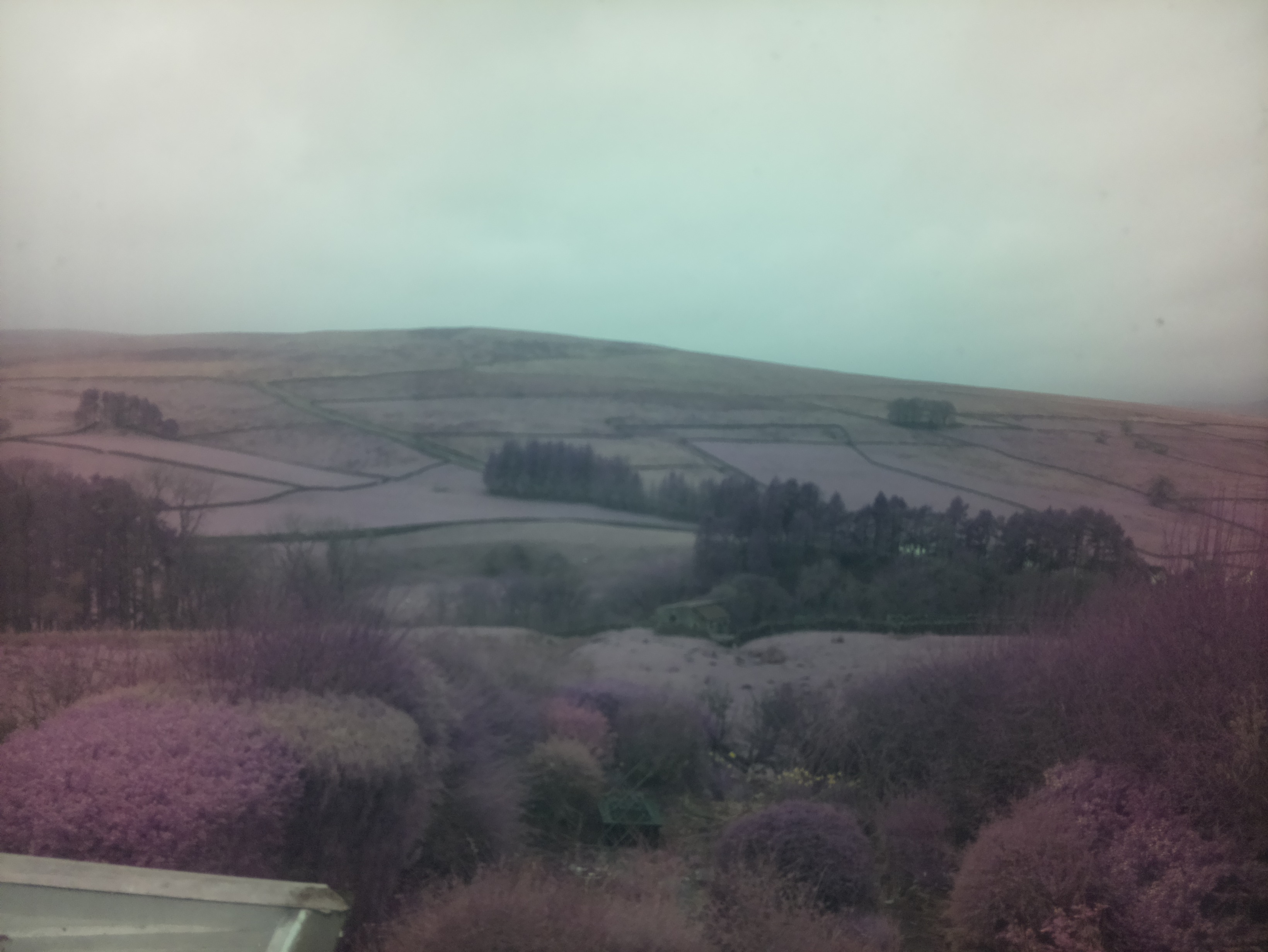 raspi webcam photo