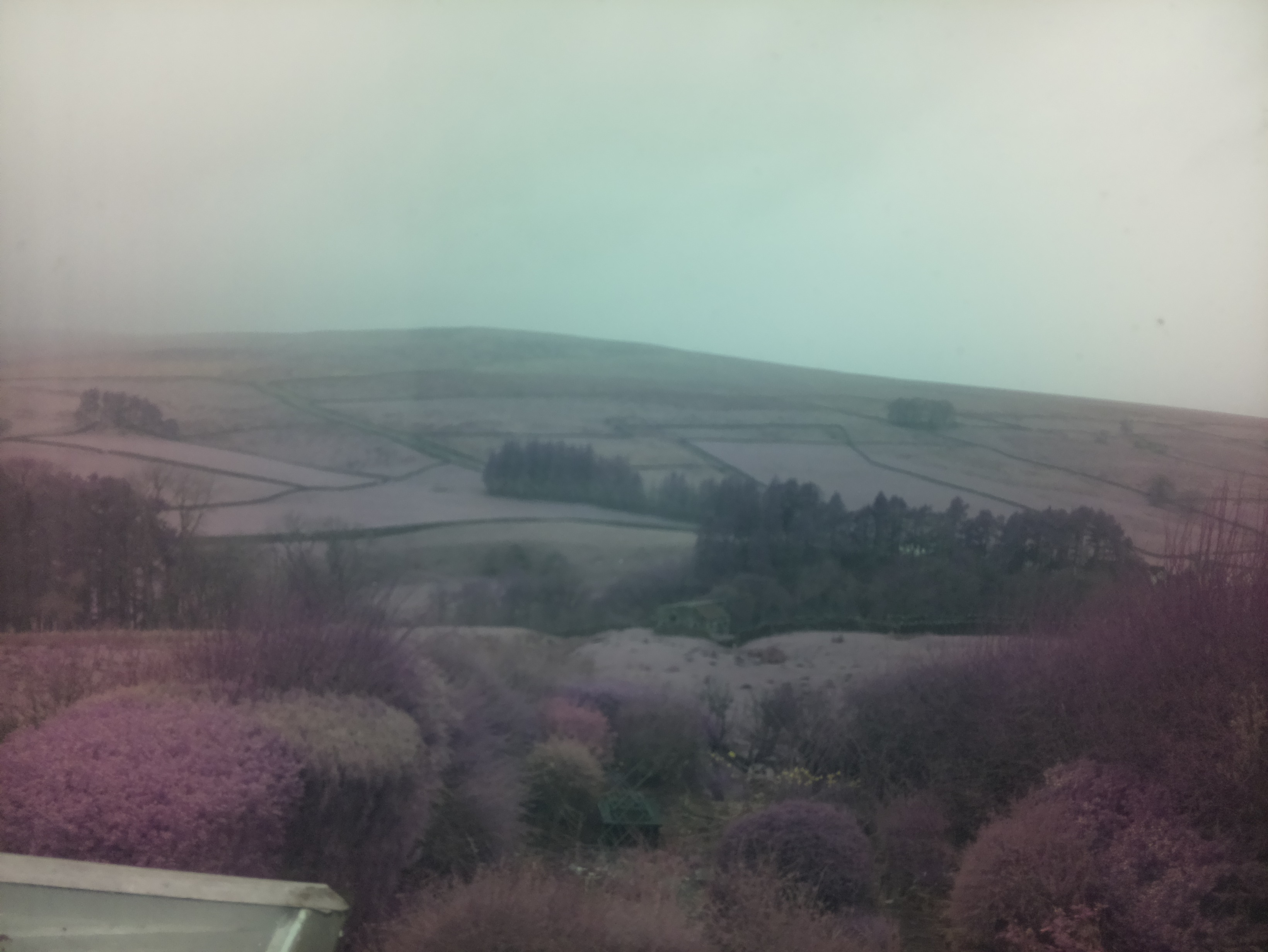 raspi webcam photo