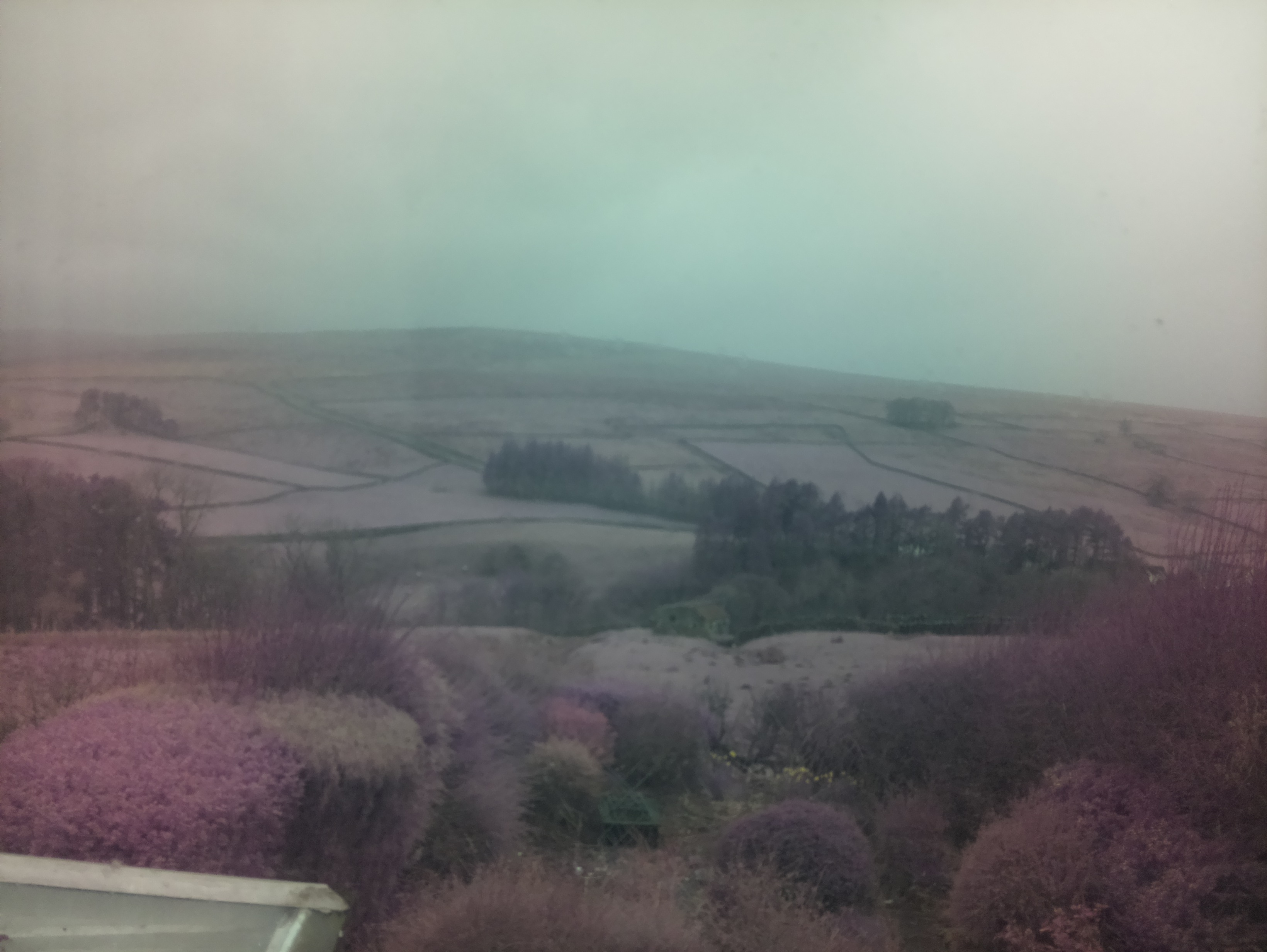 raspi webcam photo