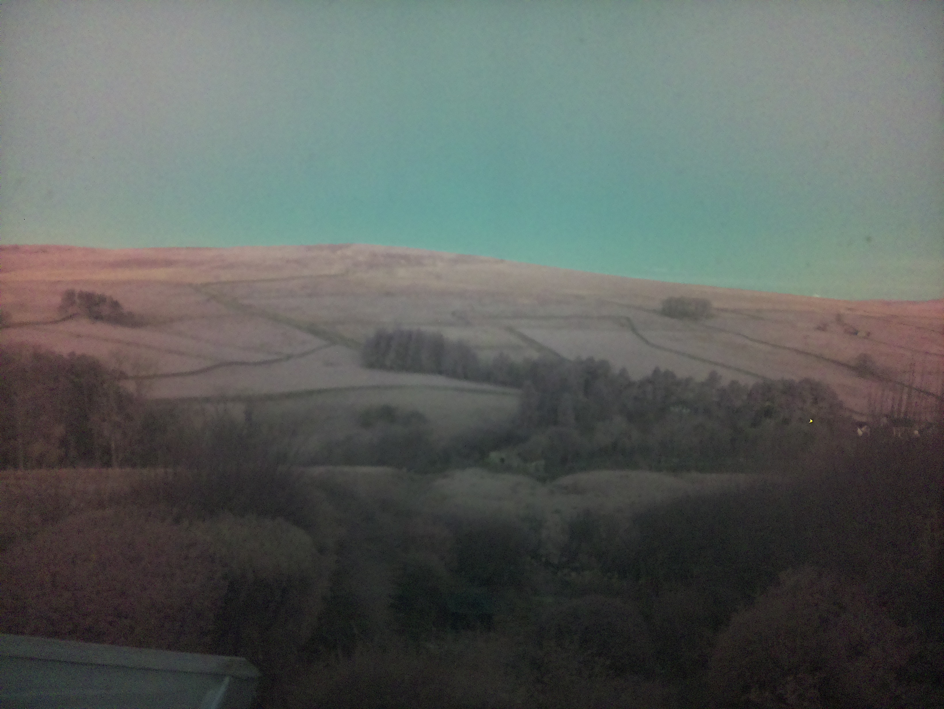 raspi webcam photo