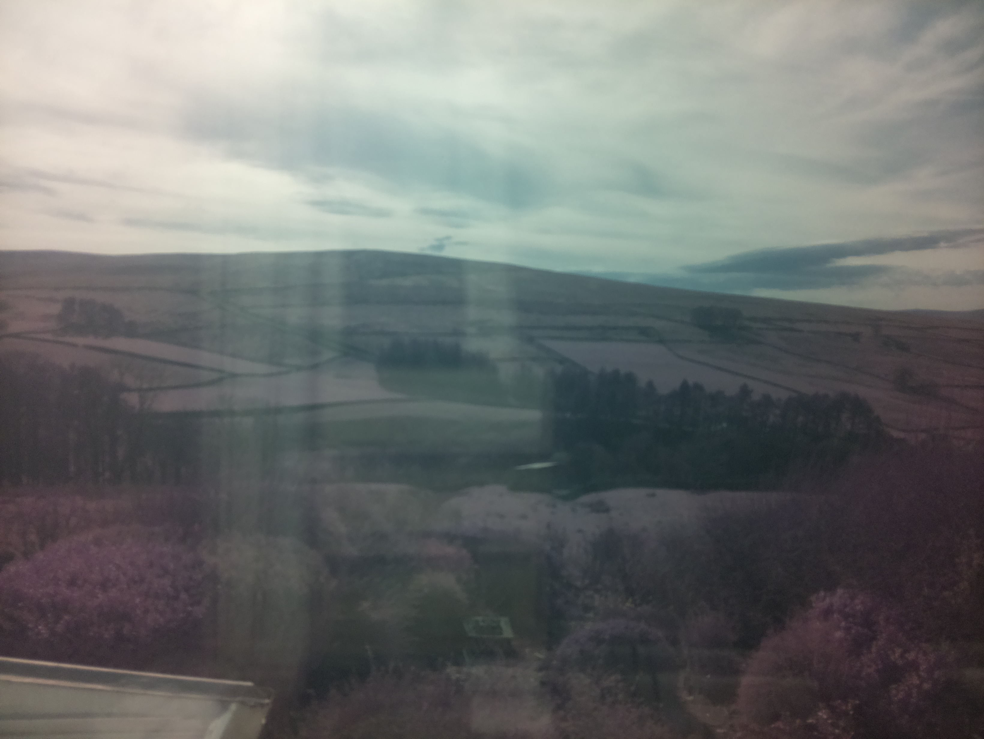 raspi webcam photo