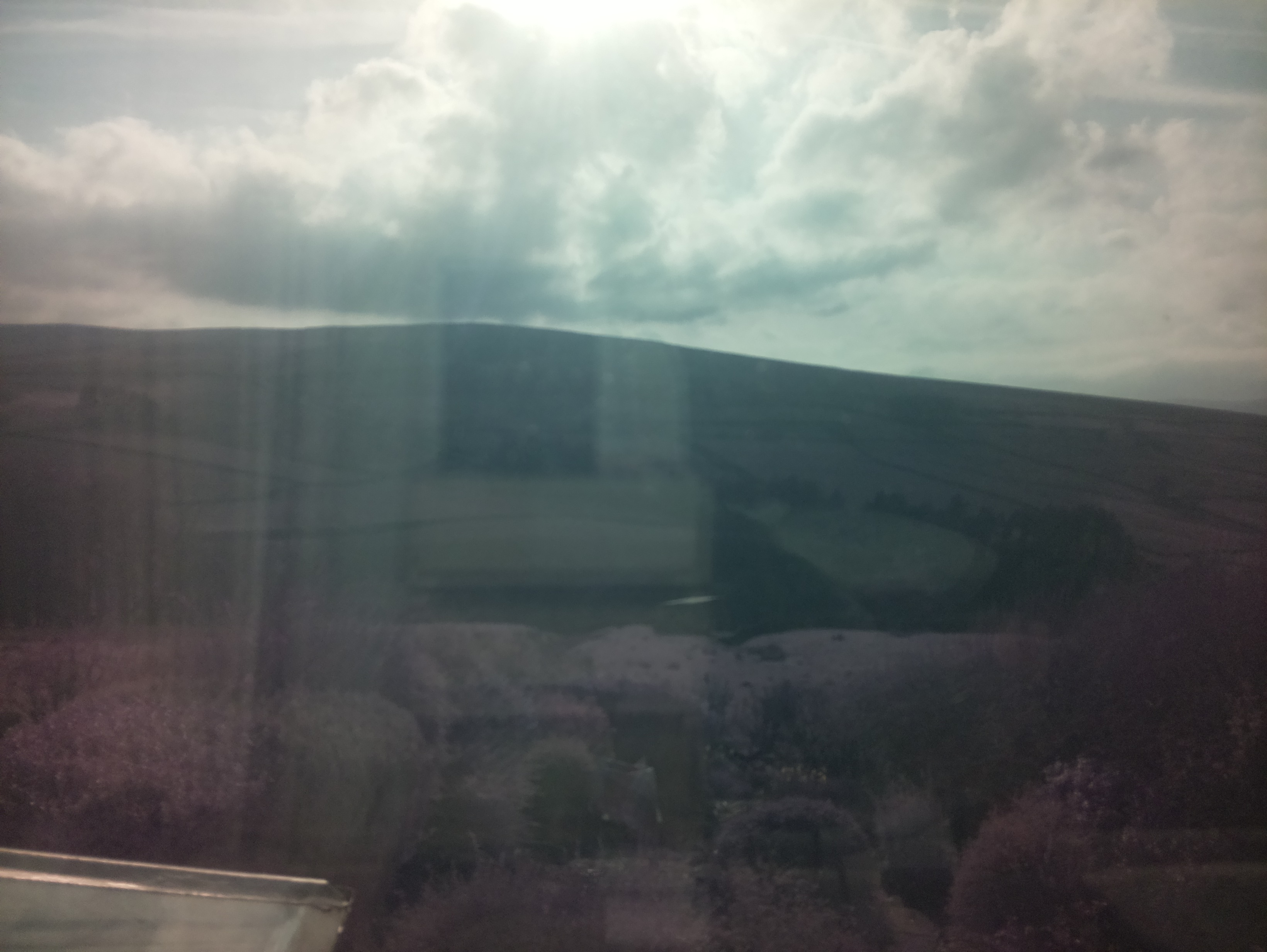 raspi webcam photo