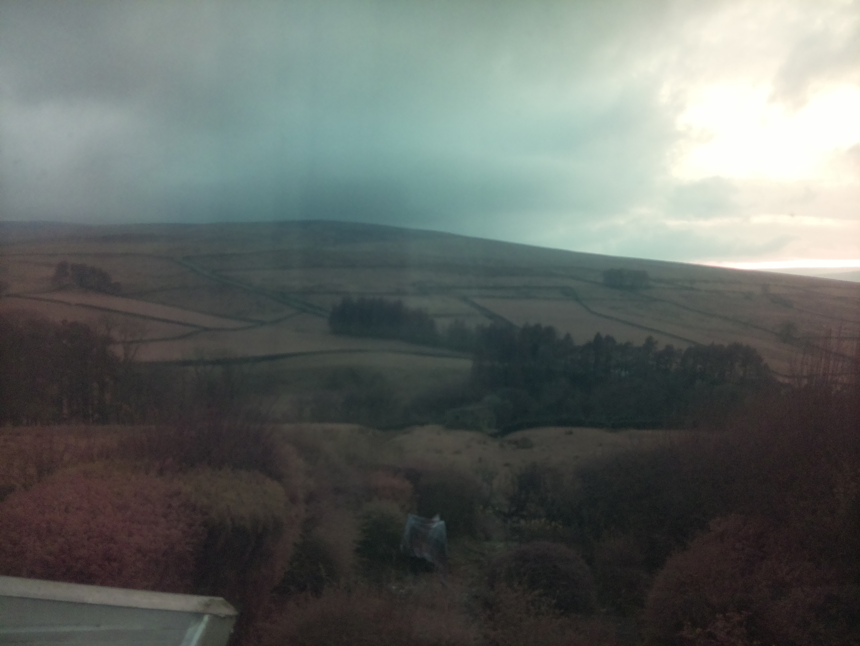 raspi webcam photo