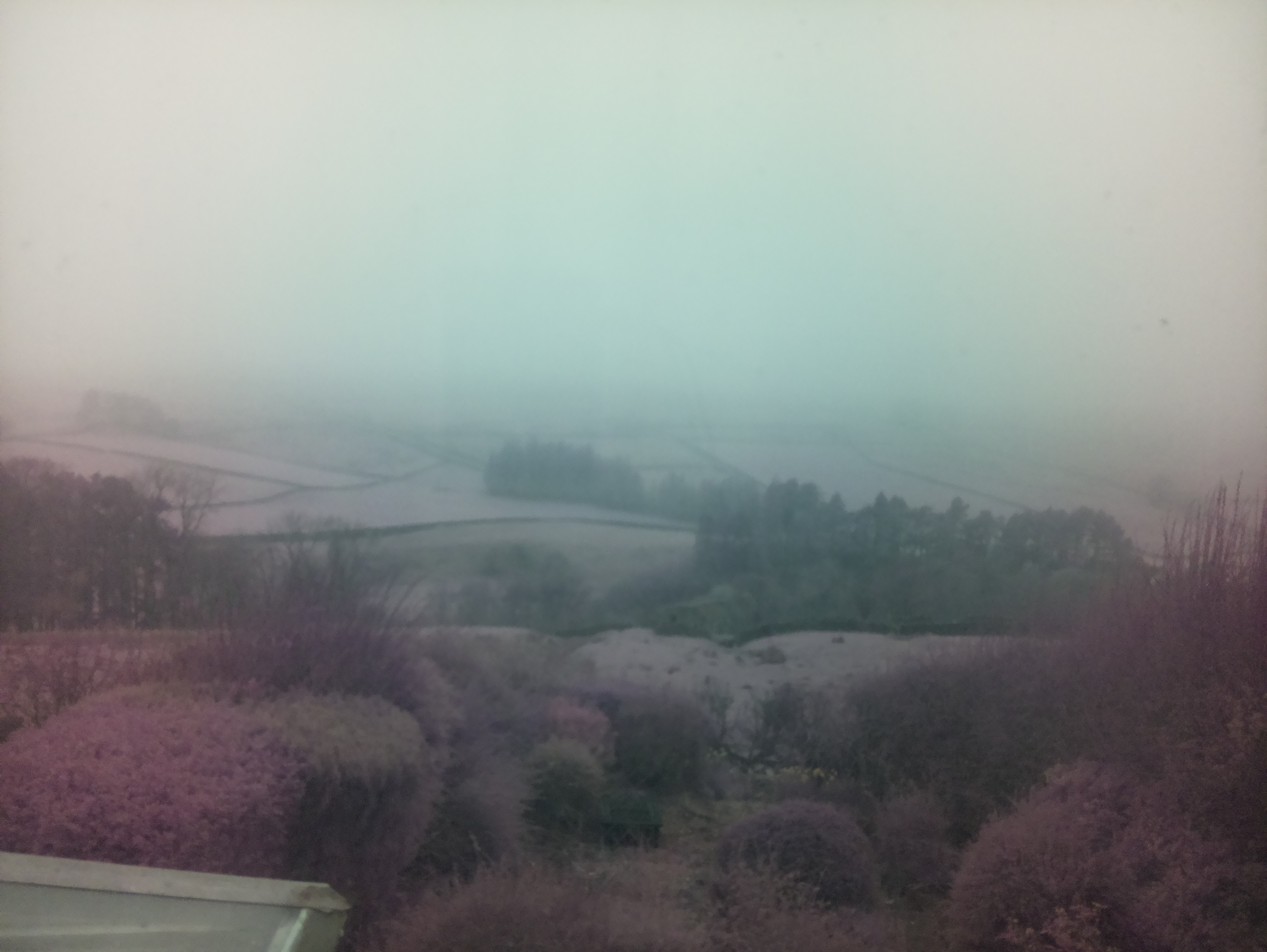 raspi webcam photo