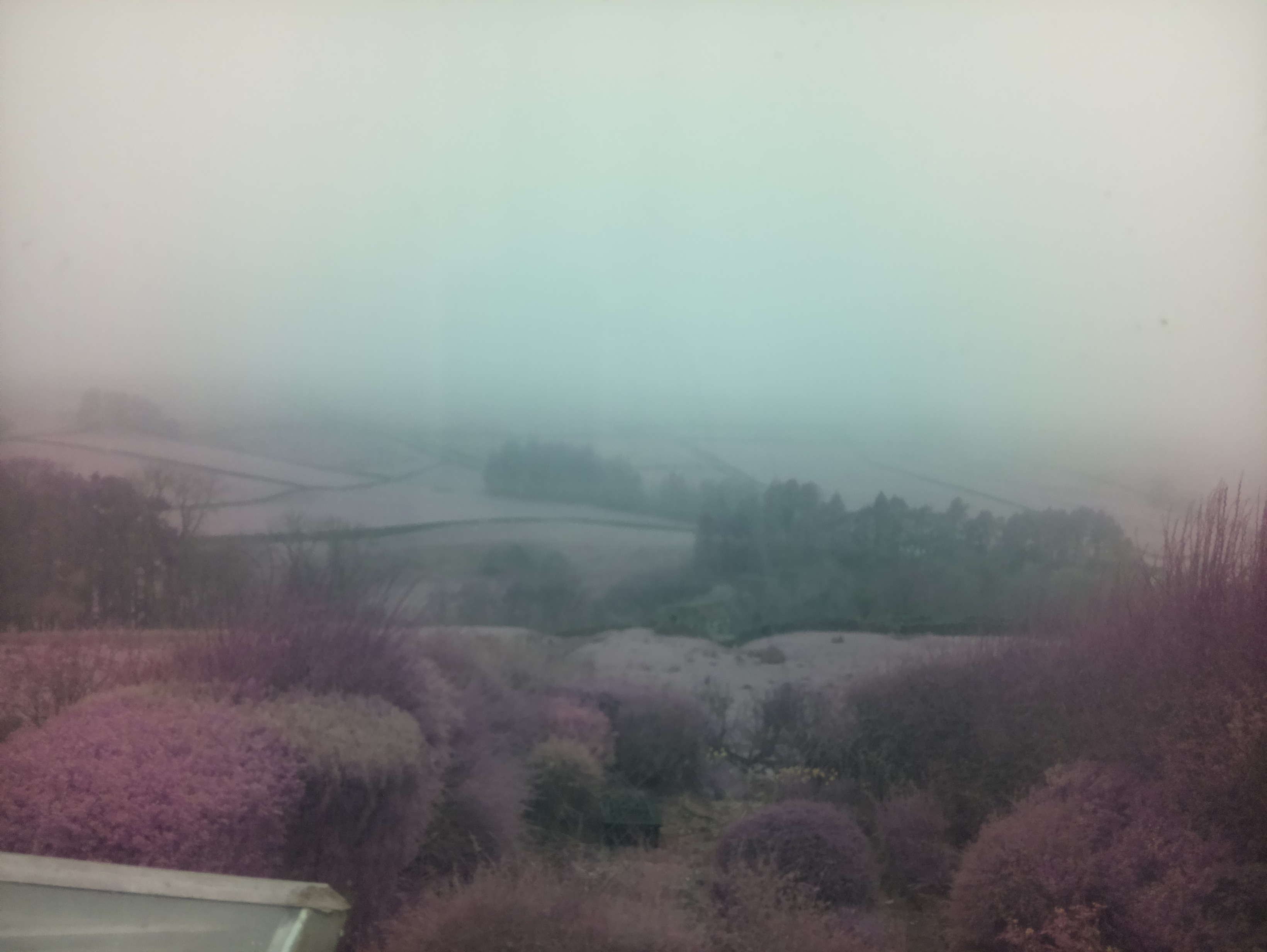 raspi webcam photo