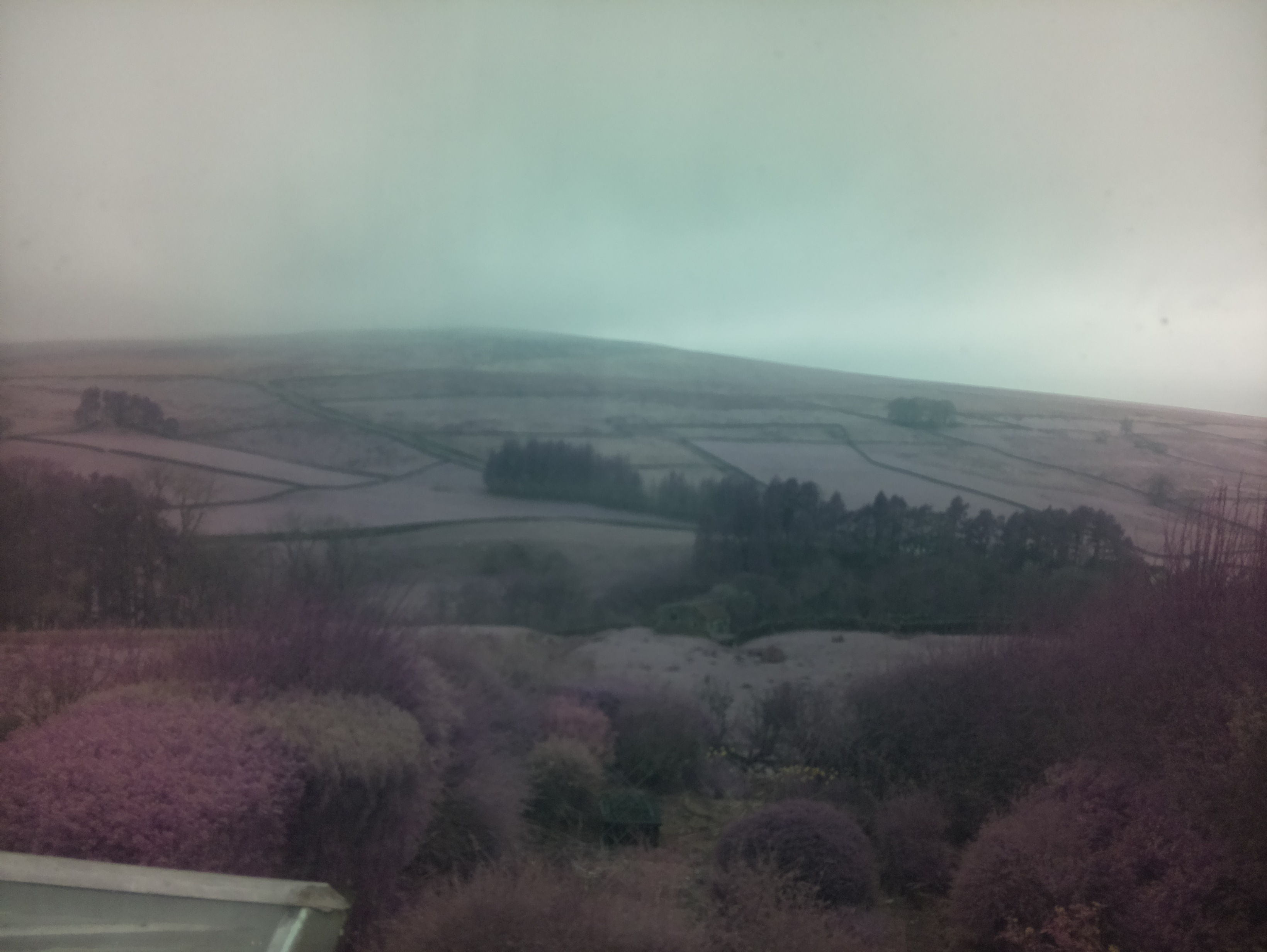 raspi webcam photo