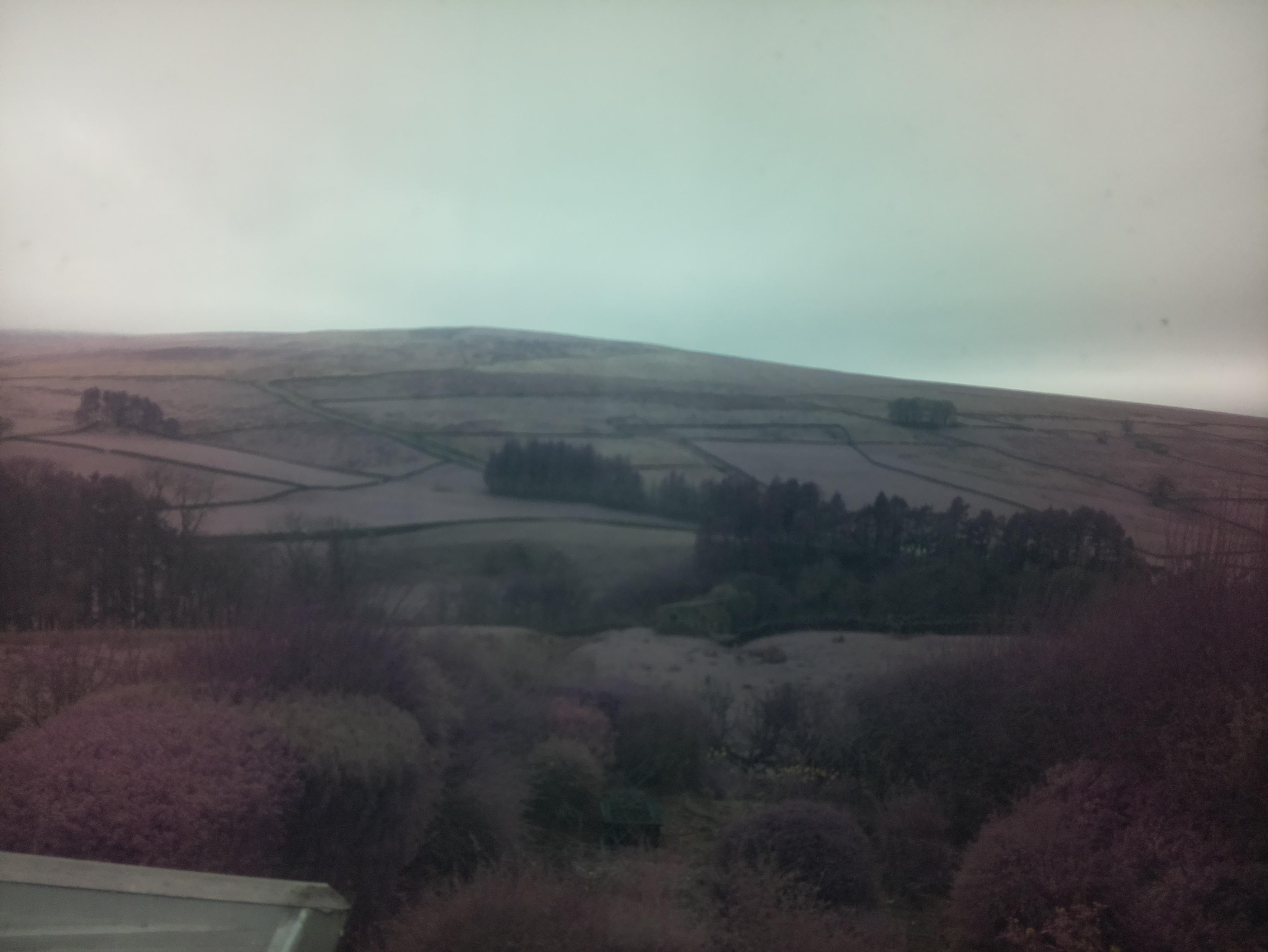 raspi webcam photo