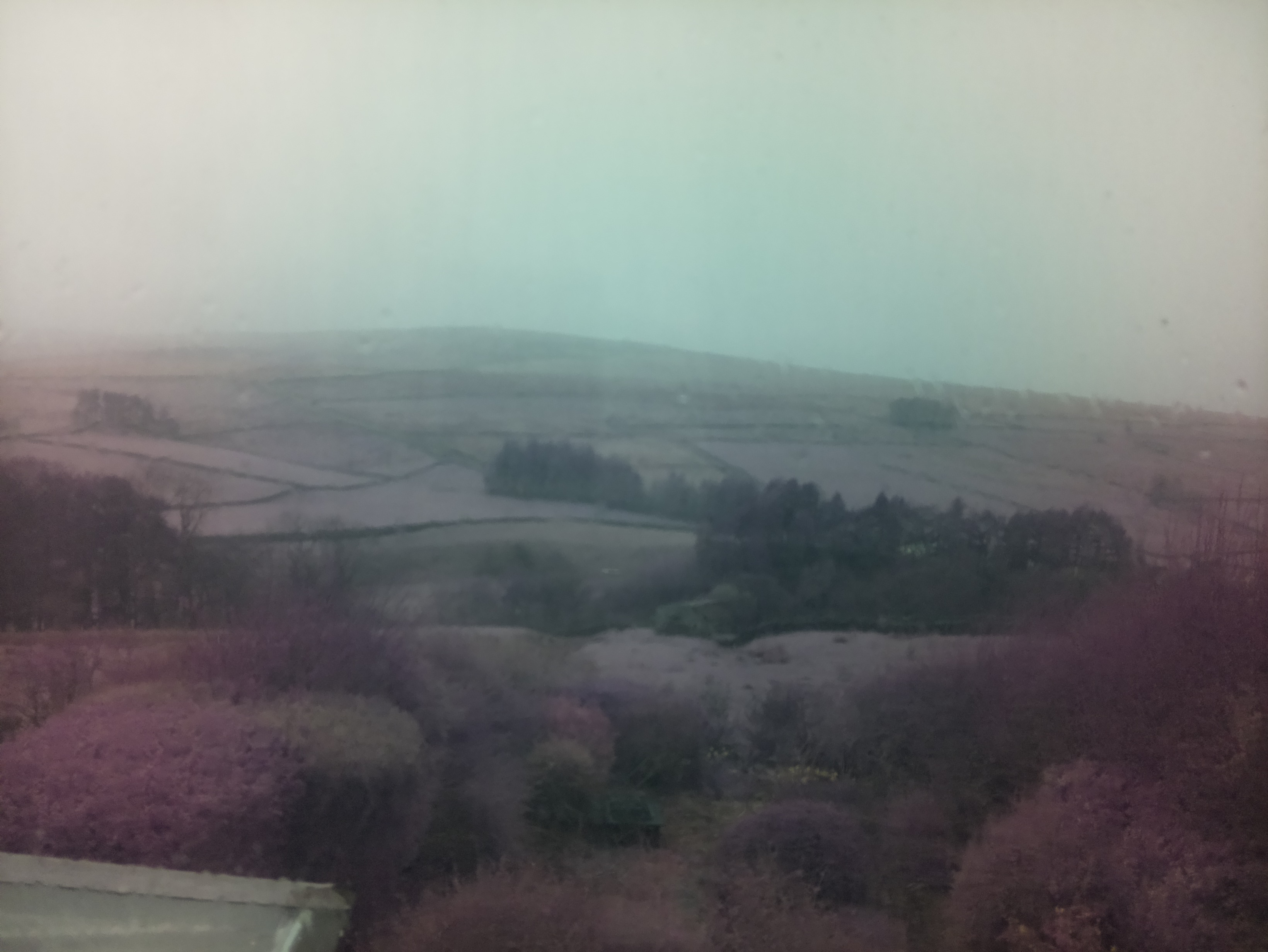 raspi webcam photo