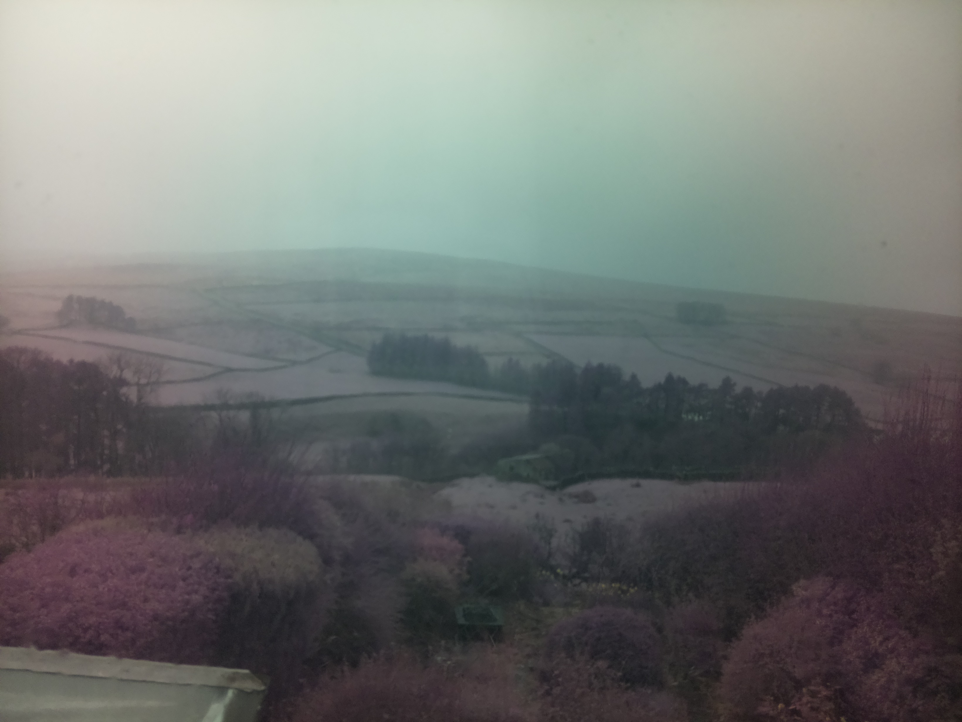 raspi webcam photo