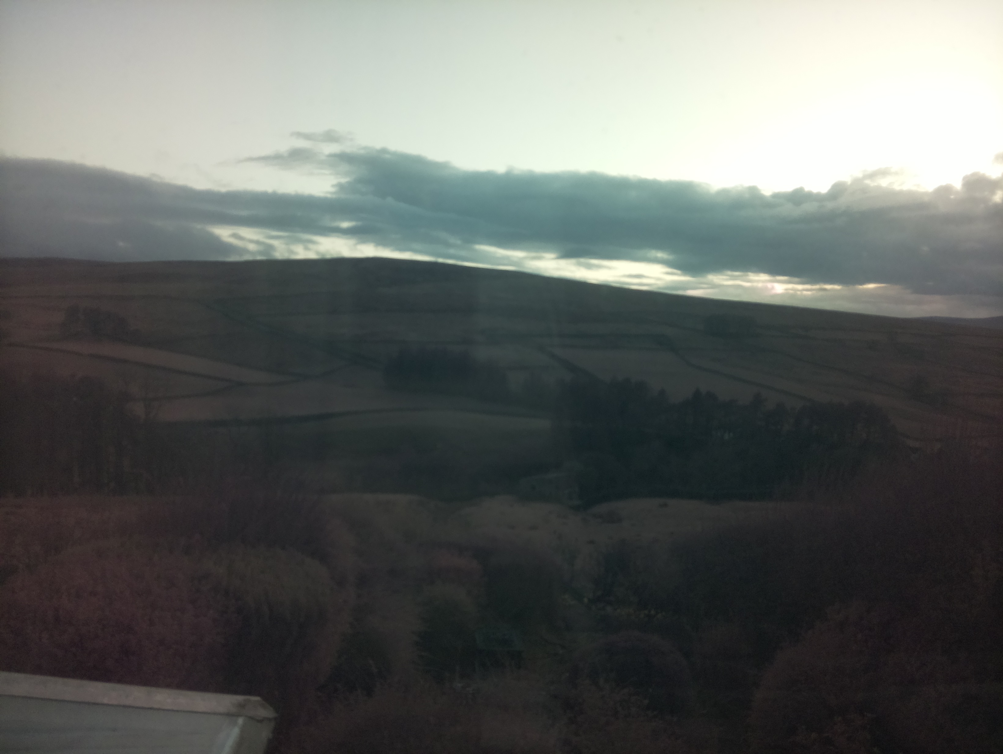 raspi webcam photo