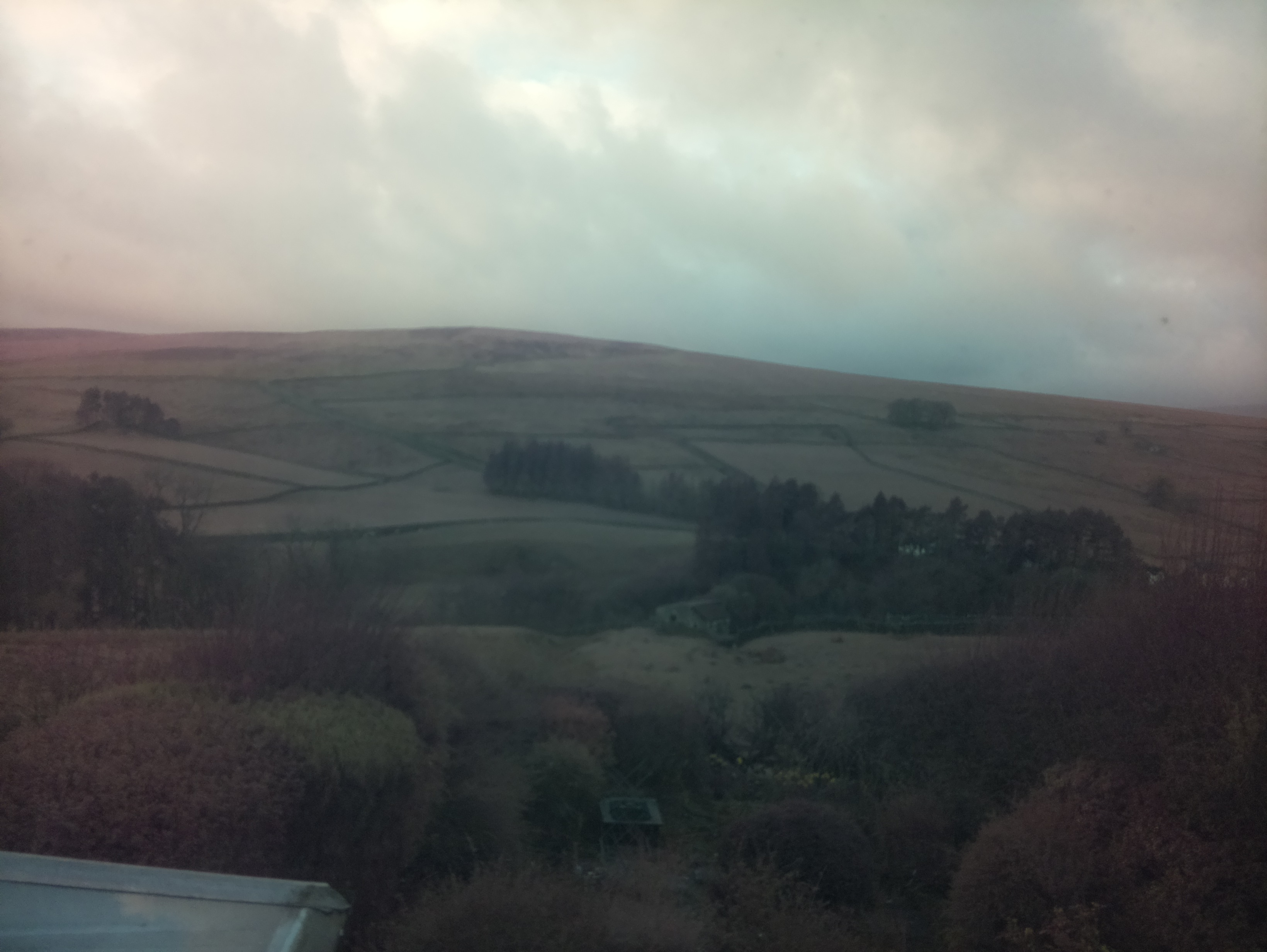 raspi webcam photo