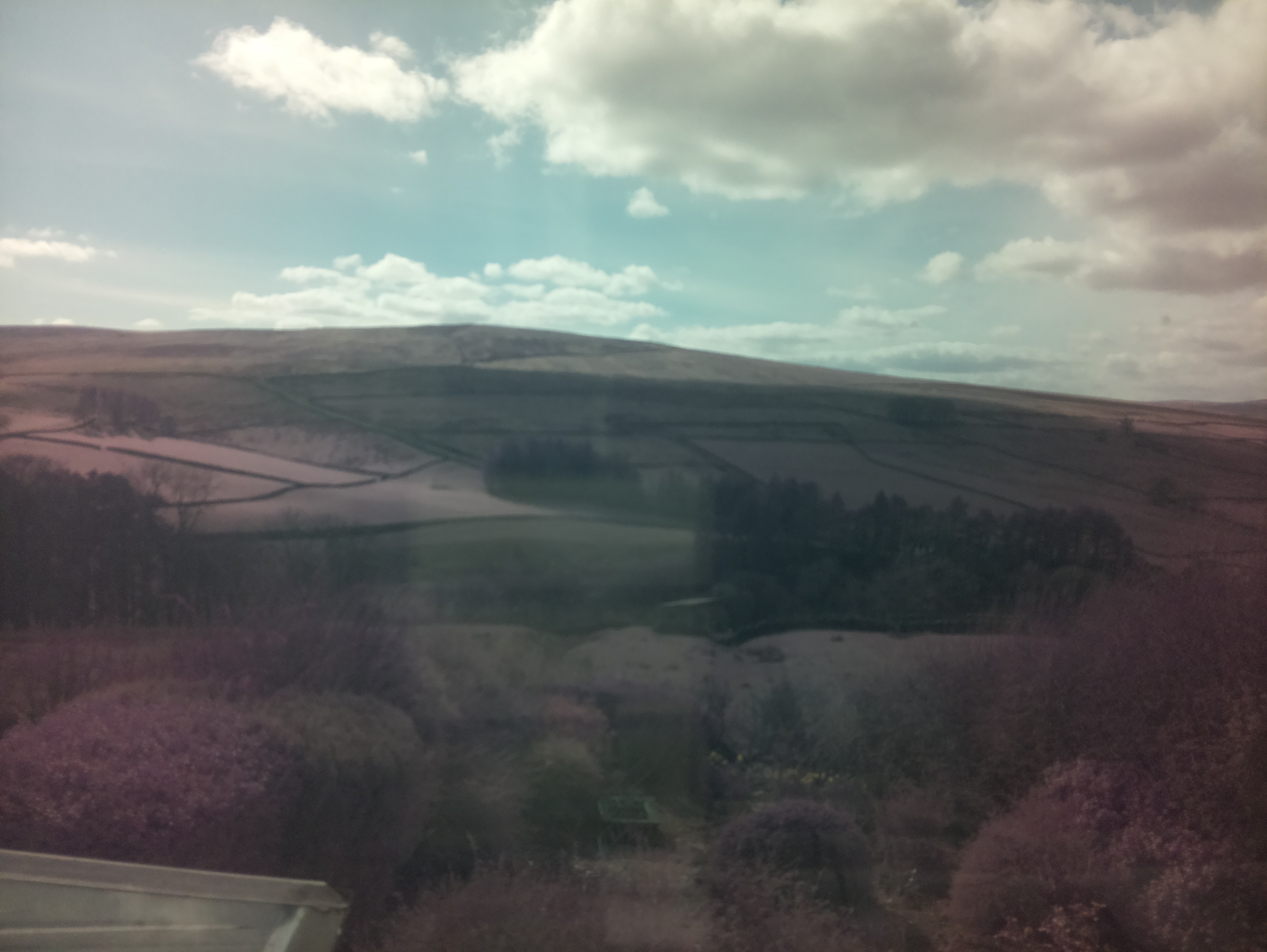 raspi webcam photo
