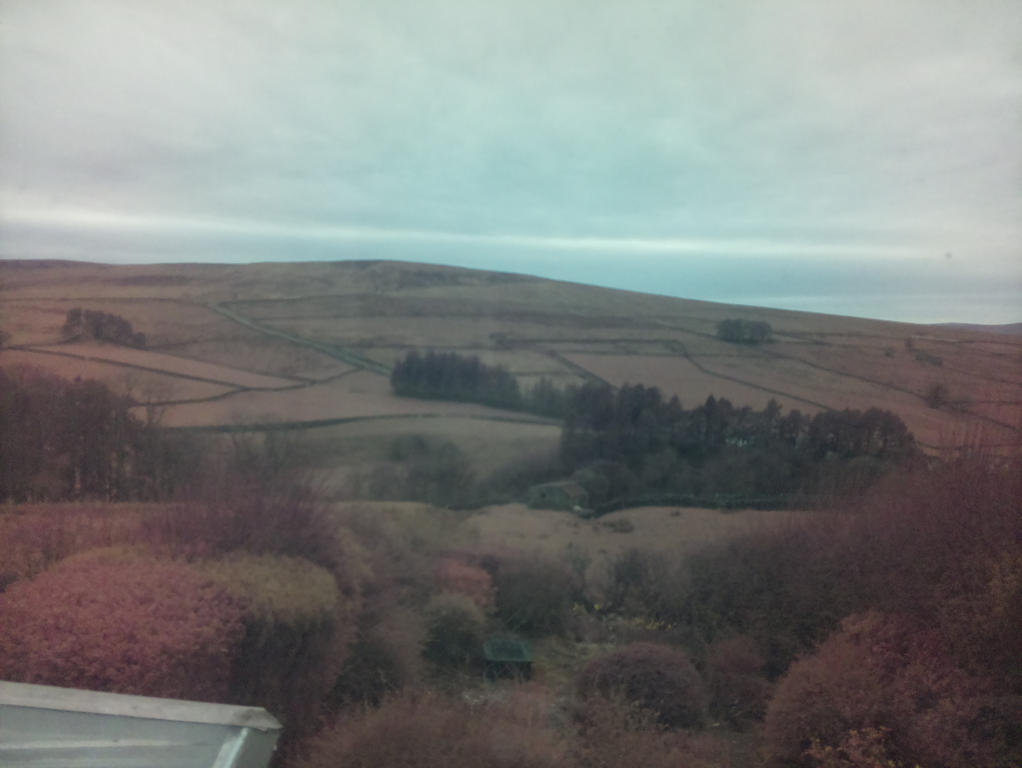 raspi webcam photo