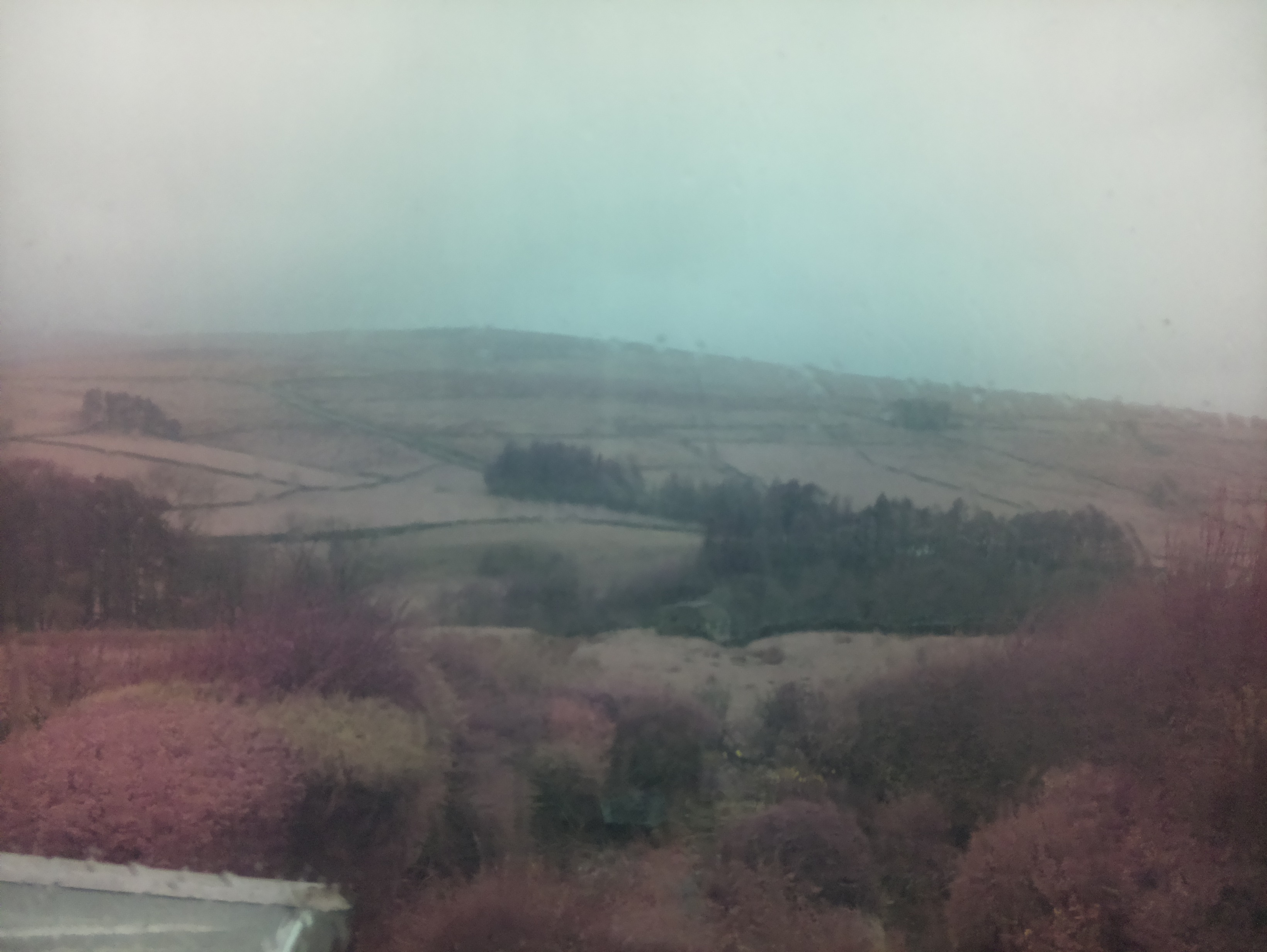 raspi webcam photo