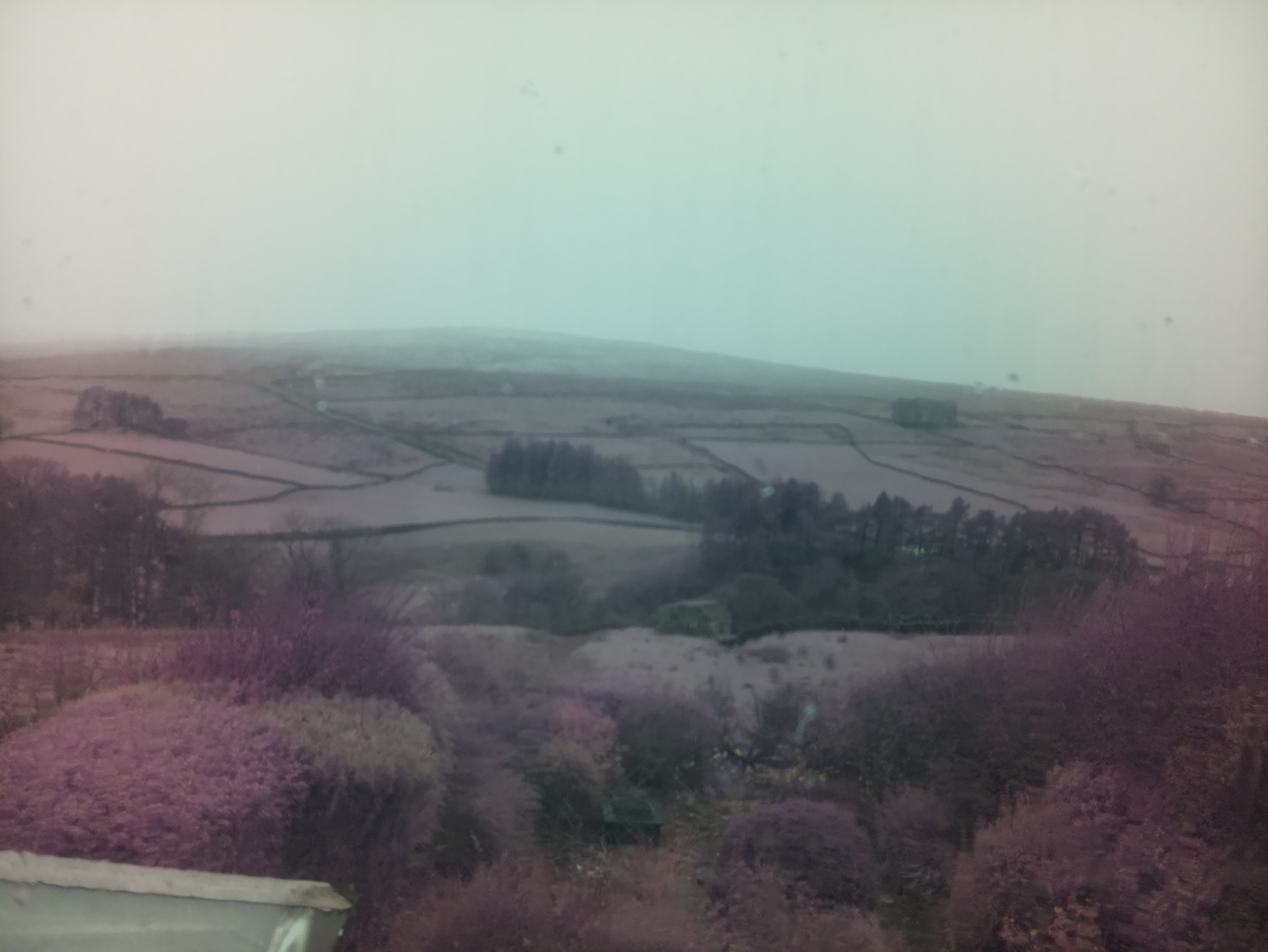 raspi webcam photo