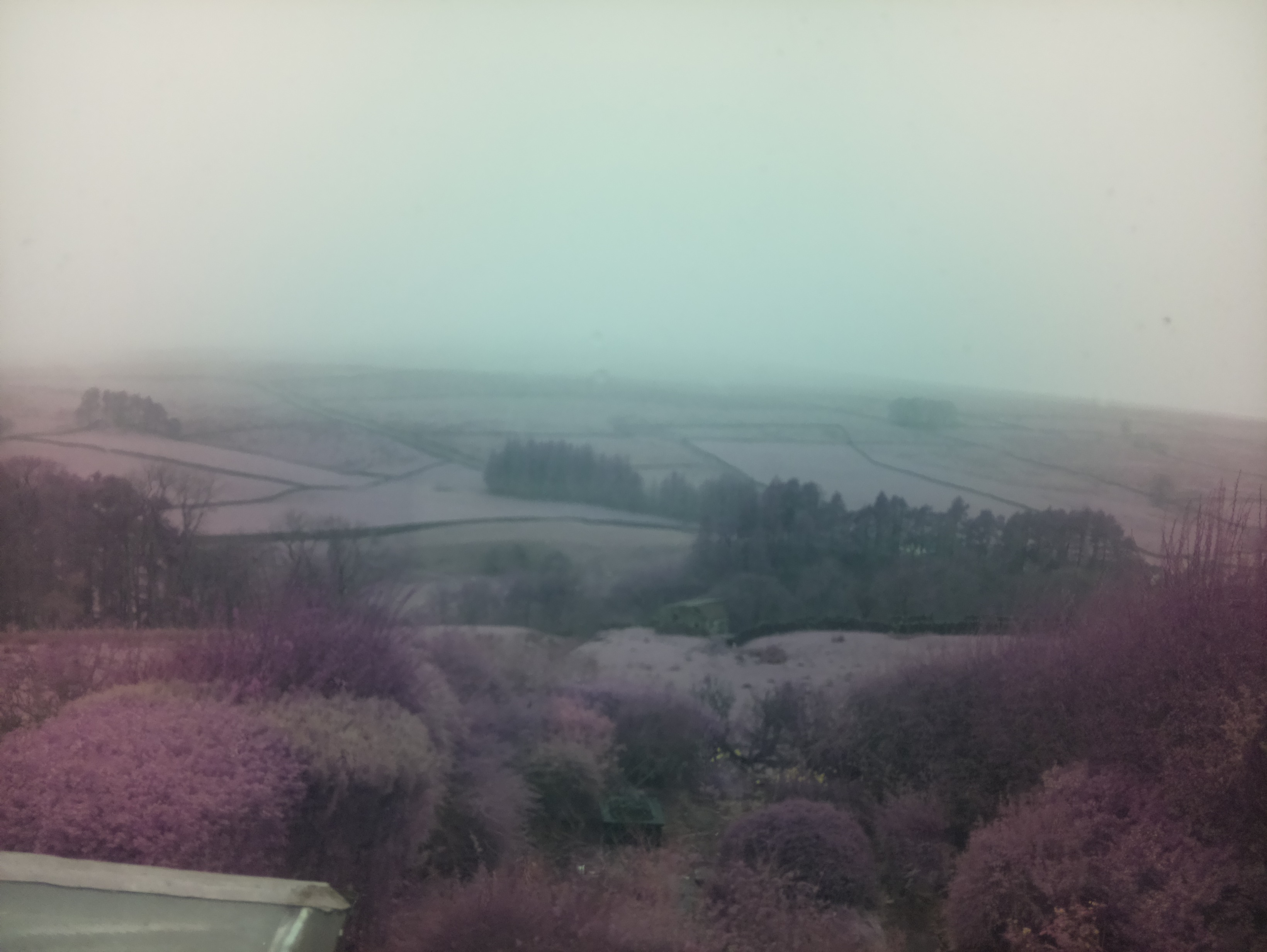 raspi webcam photo