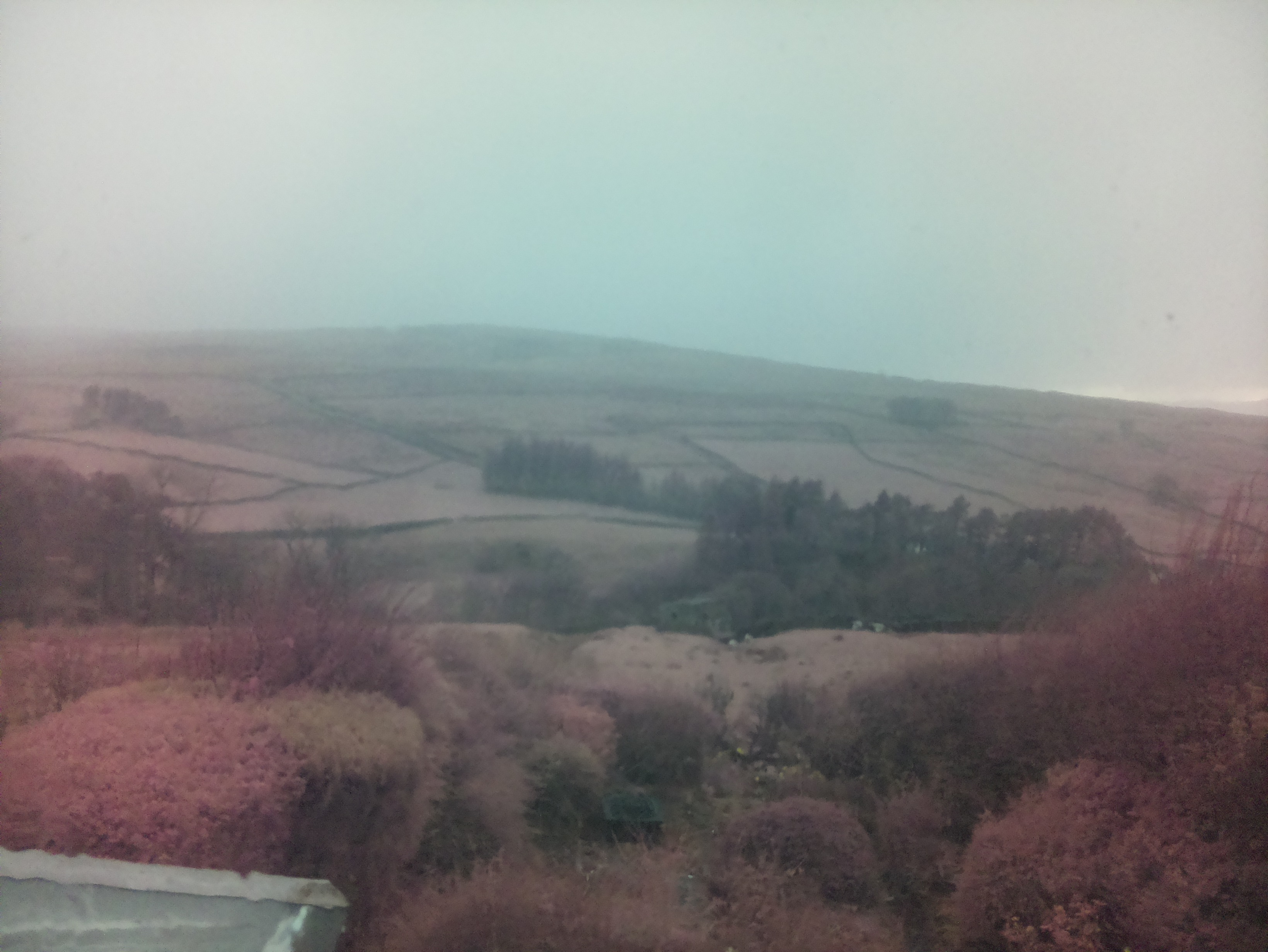 raspi webcam photo