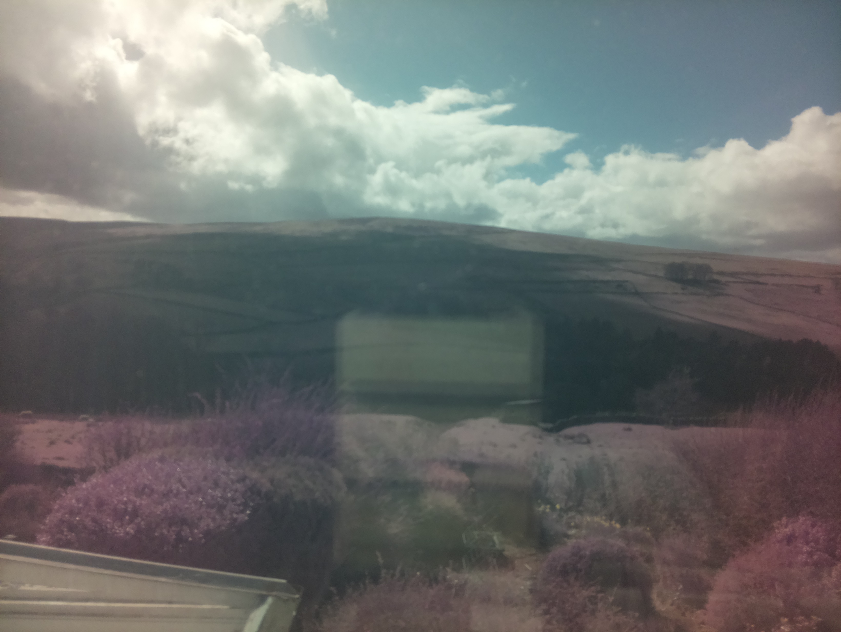 raspi webcam photo