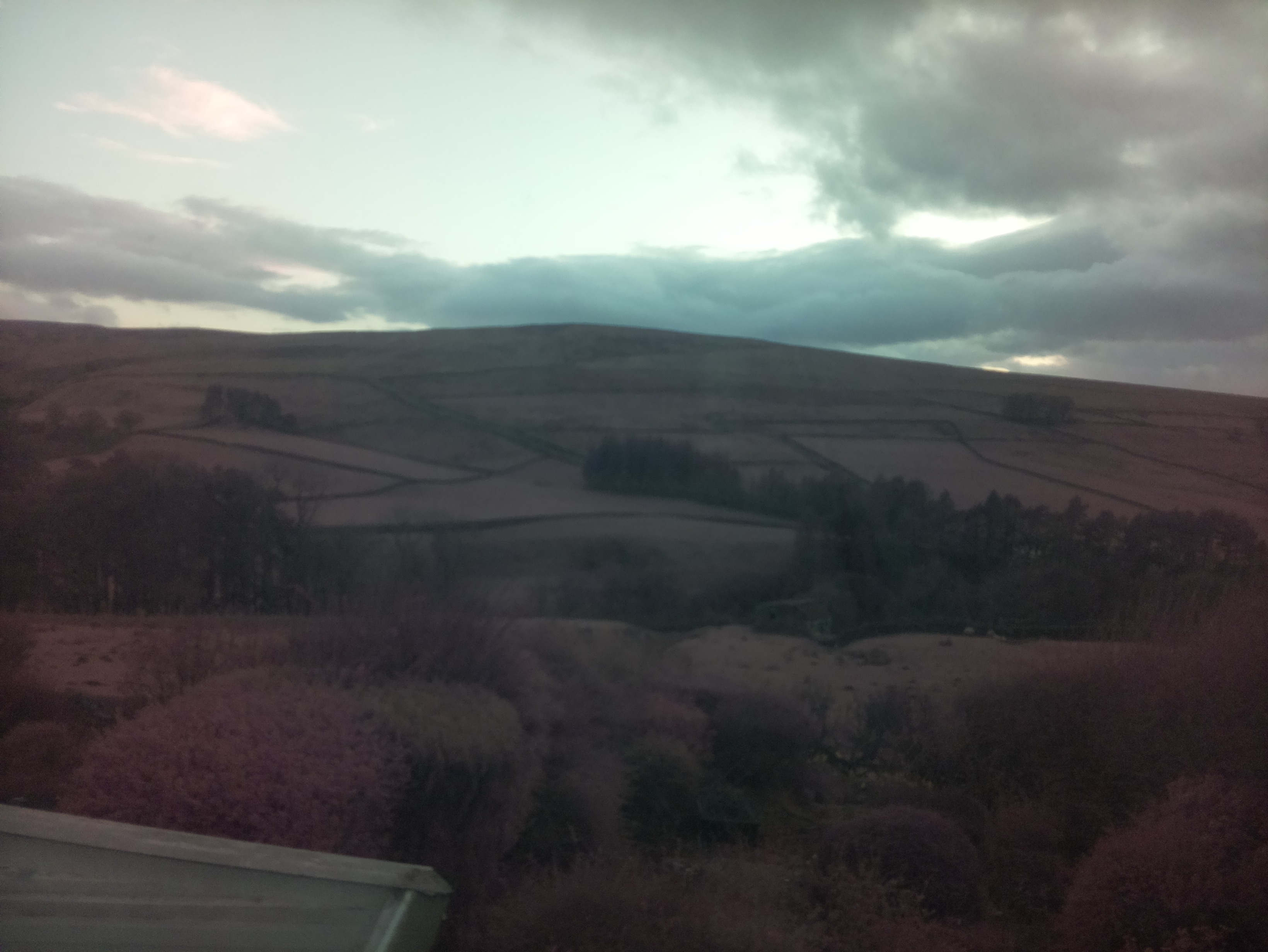 raspi webcam photo