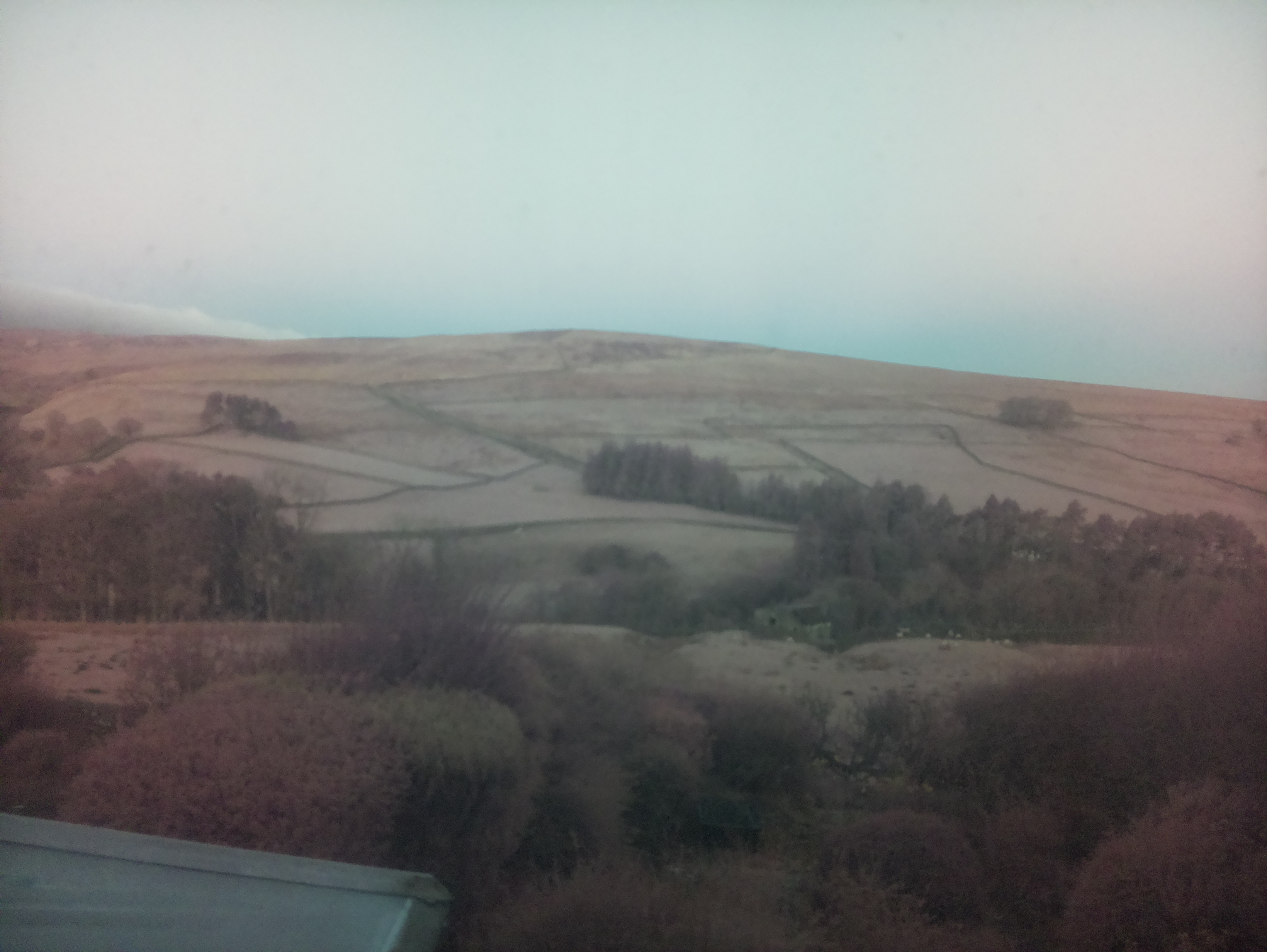 raspi webcam photo