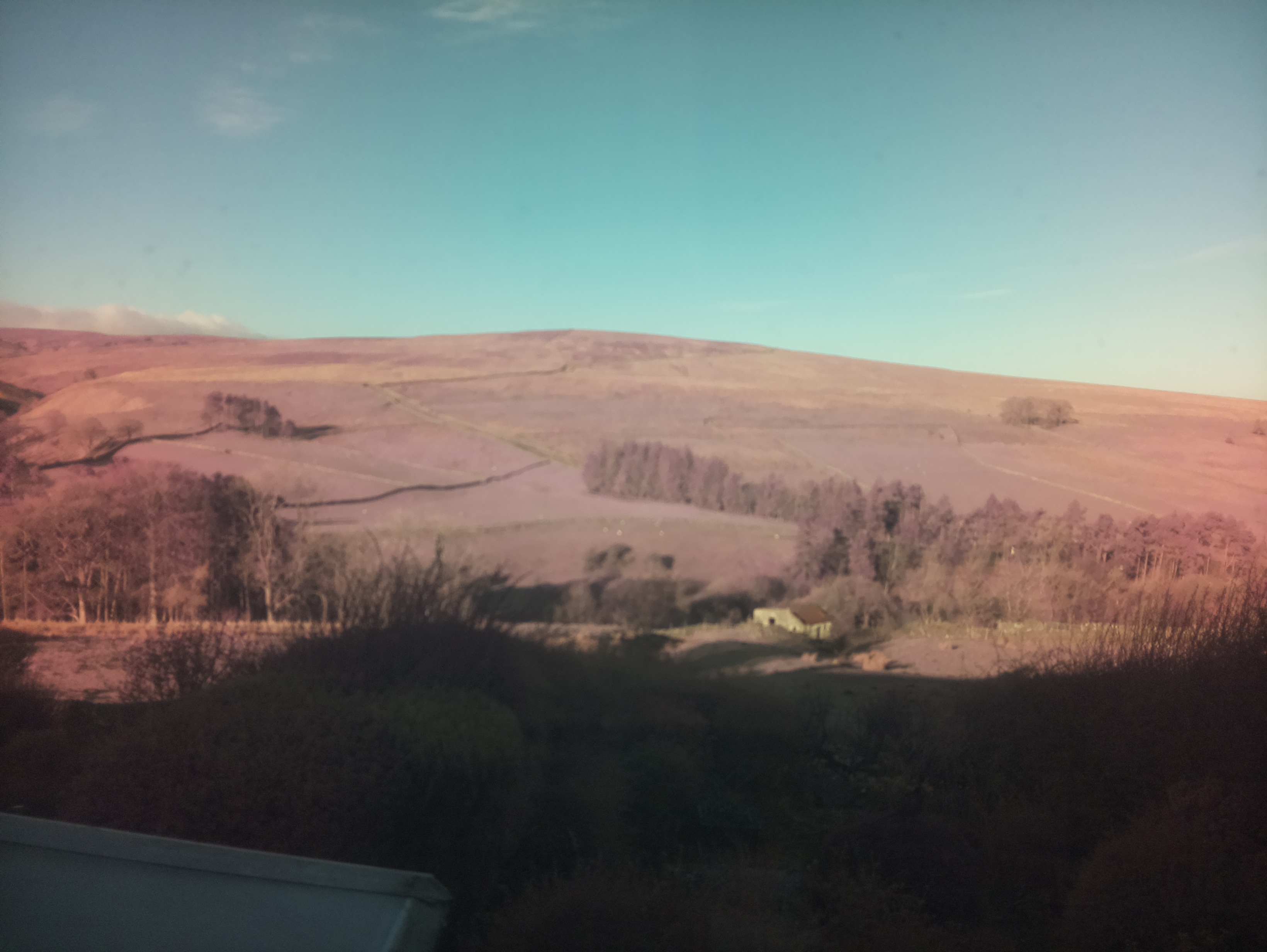 raspi webcam photo