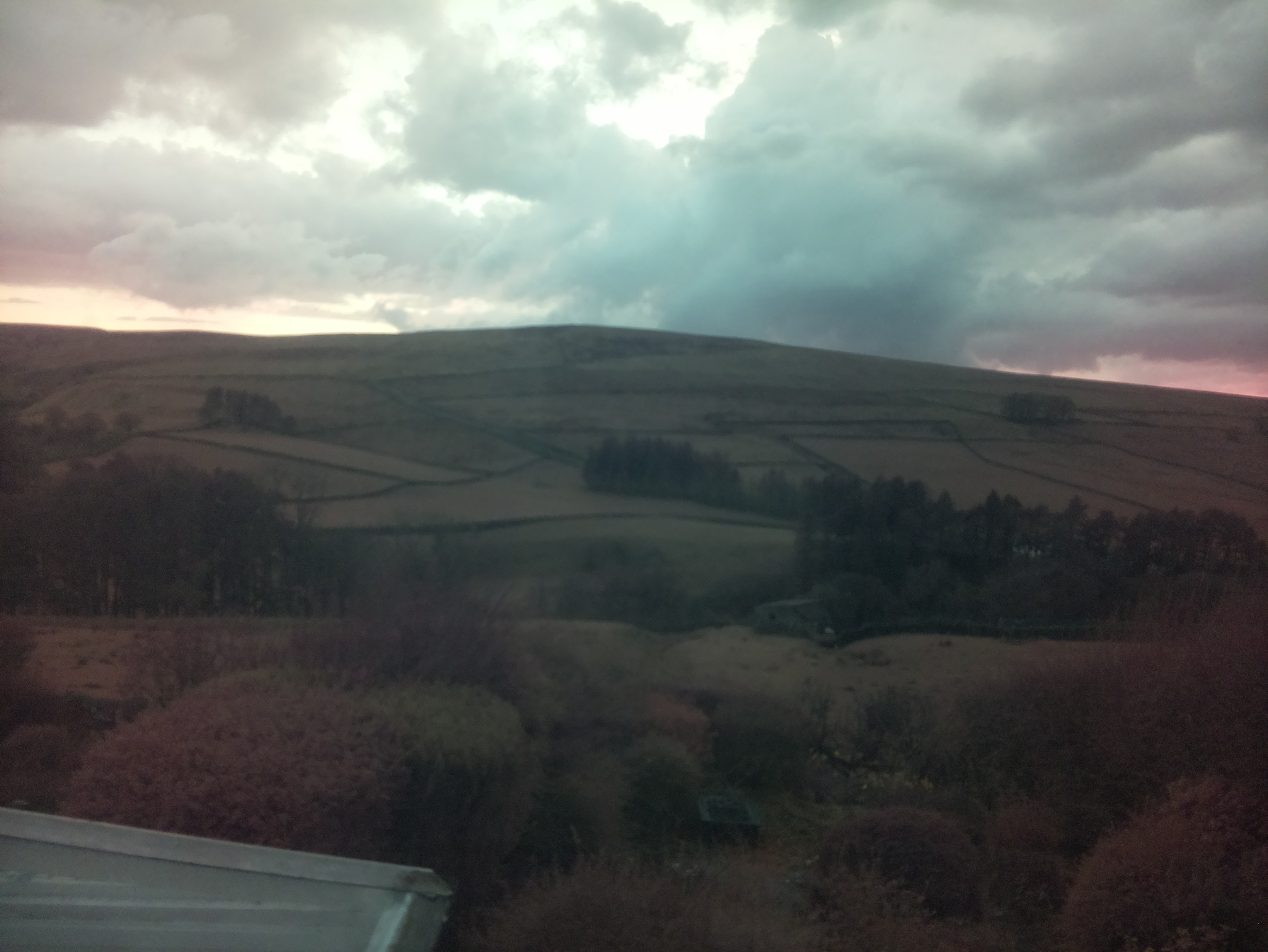 raspi webcam photo