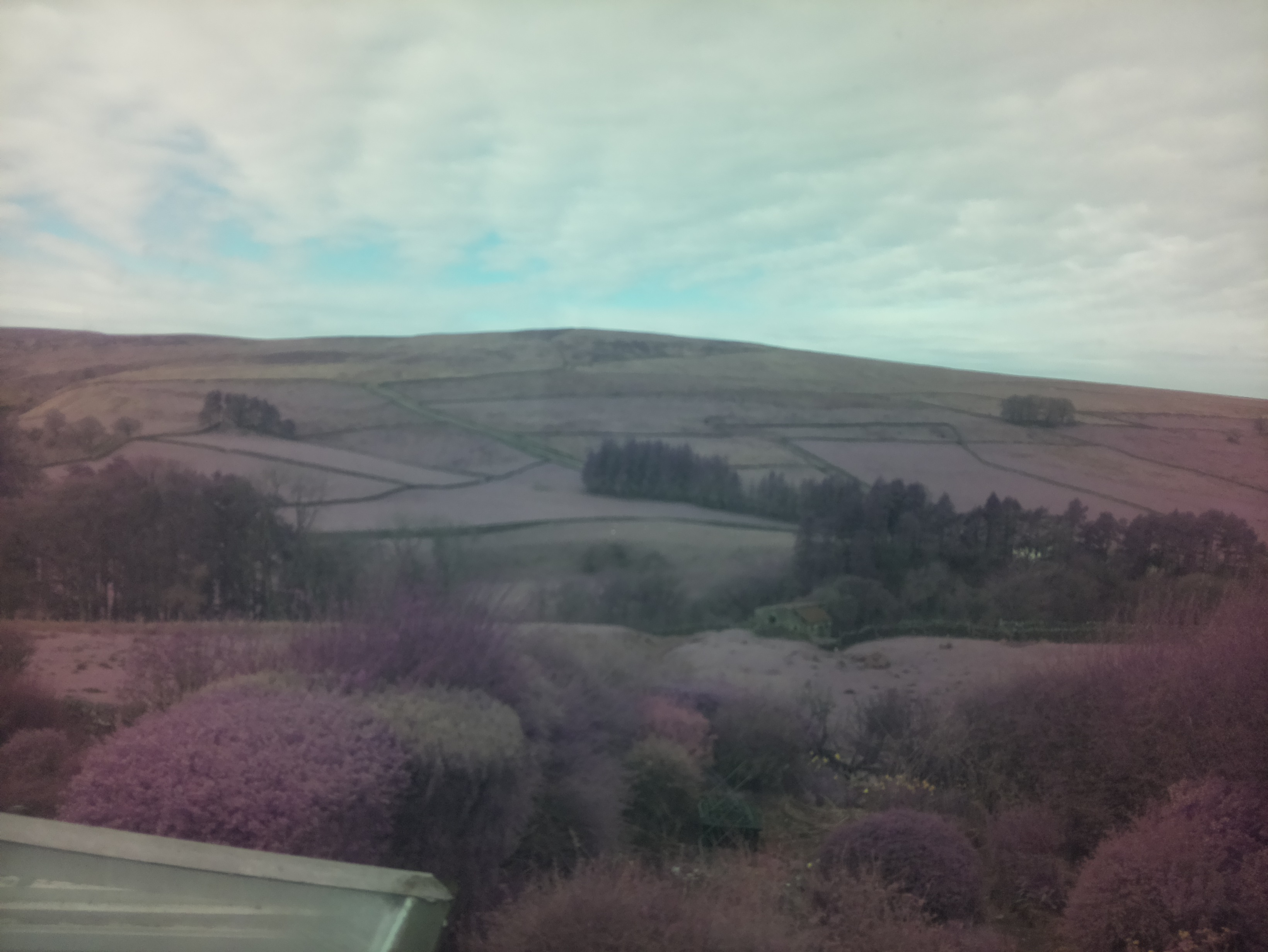 raspi webcam photo